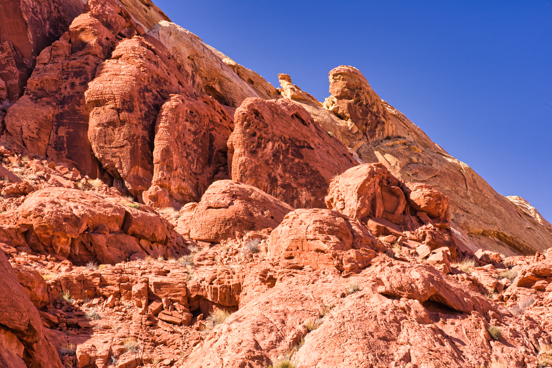 NV Desert 00141