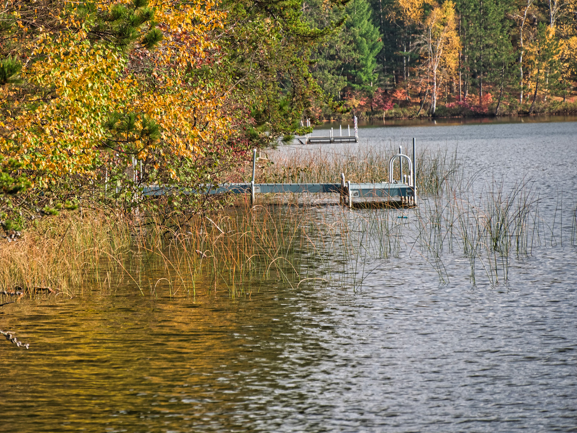 WI Fence 00094
