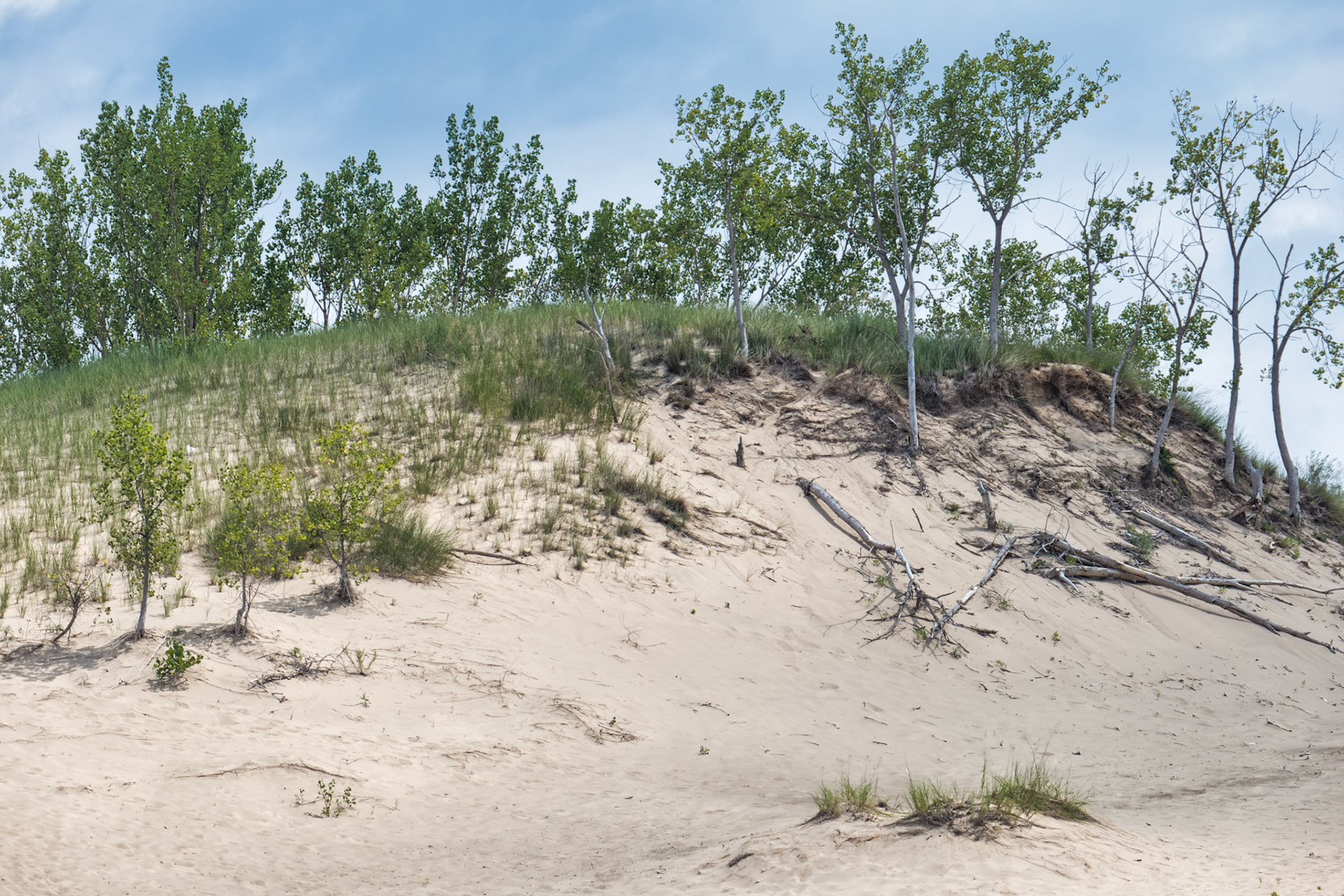 MI Dunes 00016