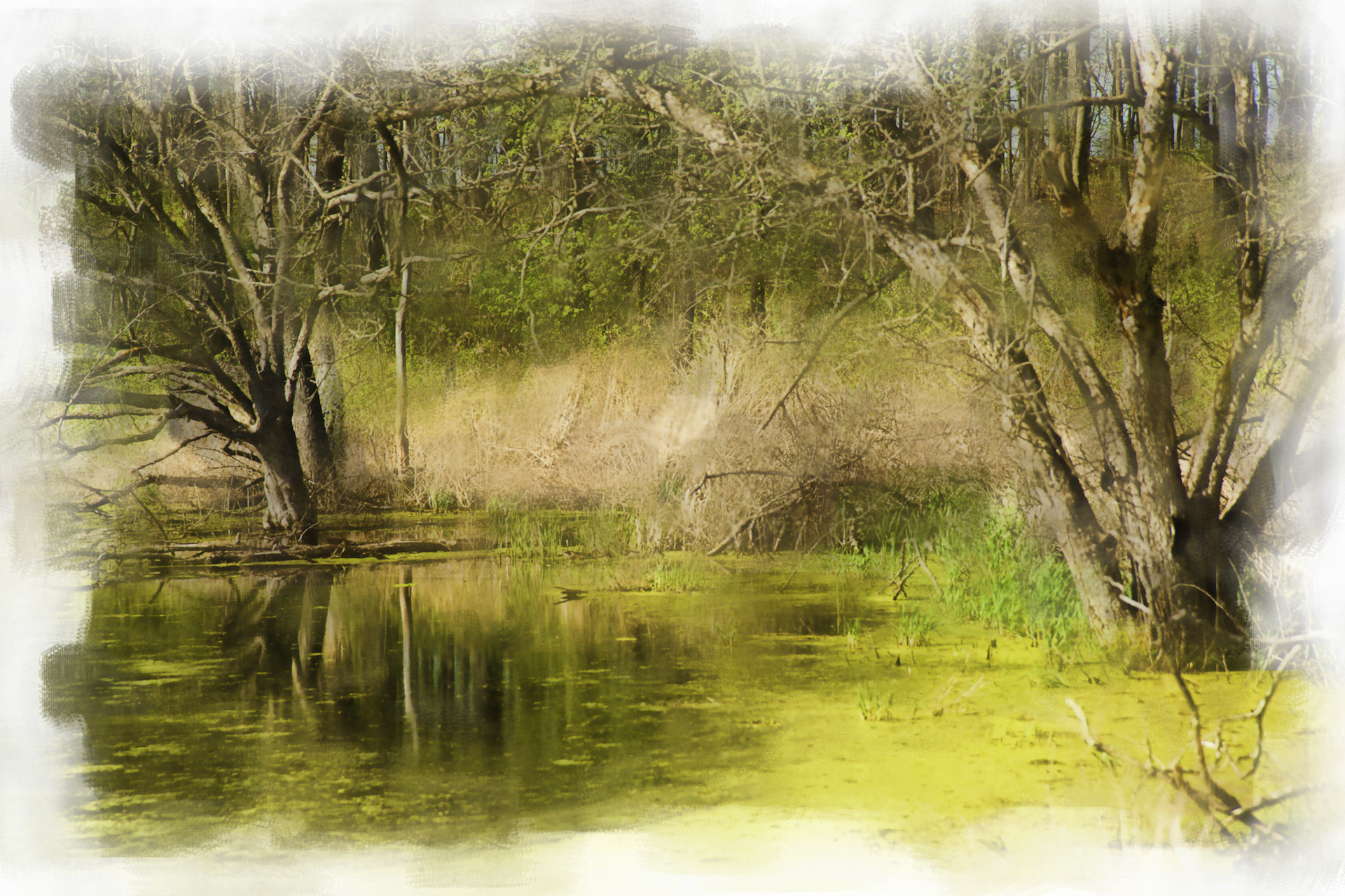 Paintings 00180
