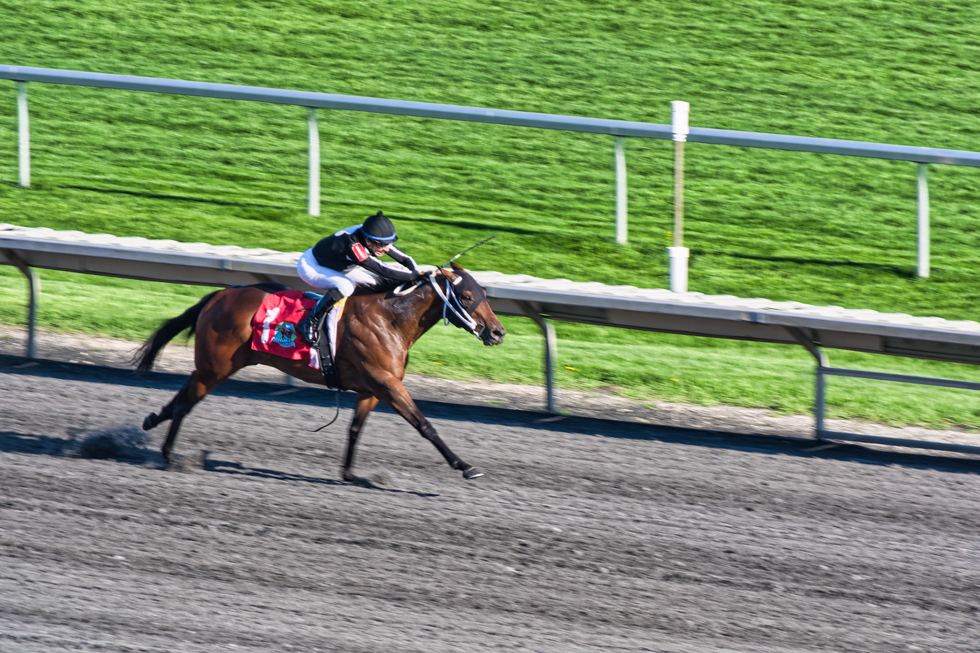 IL Arlington Park 00063