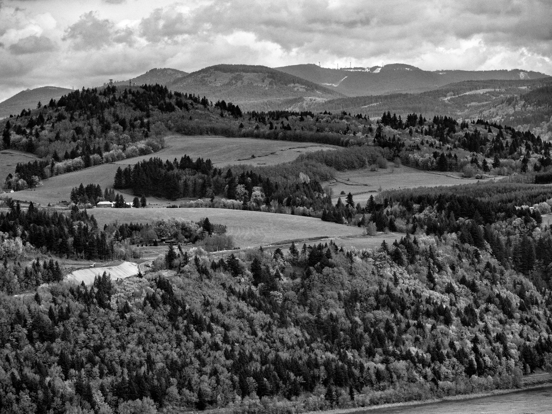 Black & White 00171