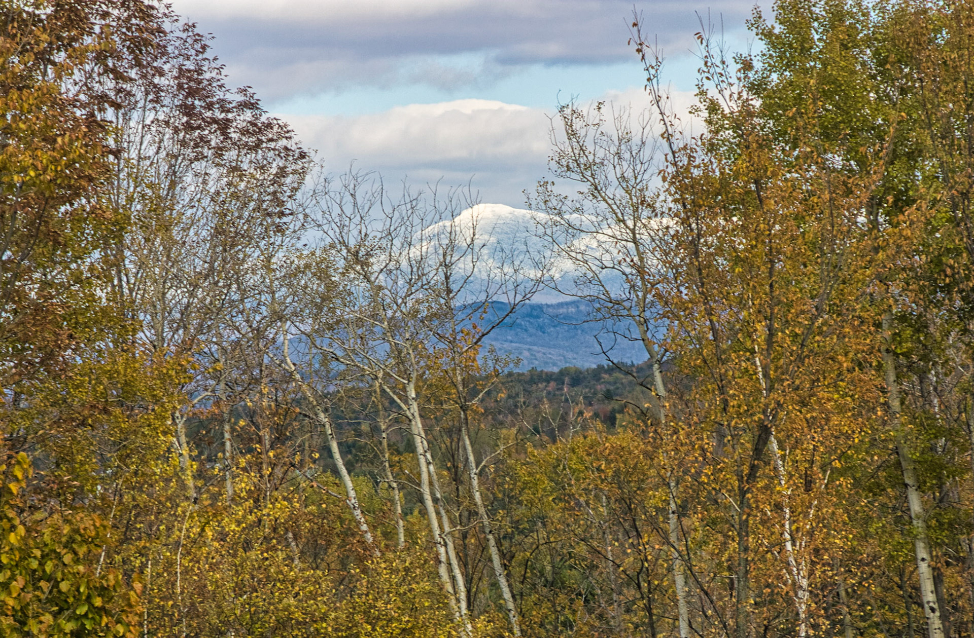 VT Miscellaneous 00064