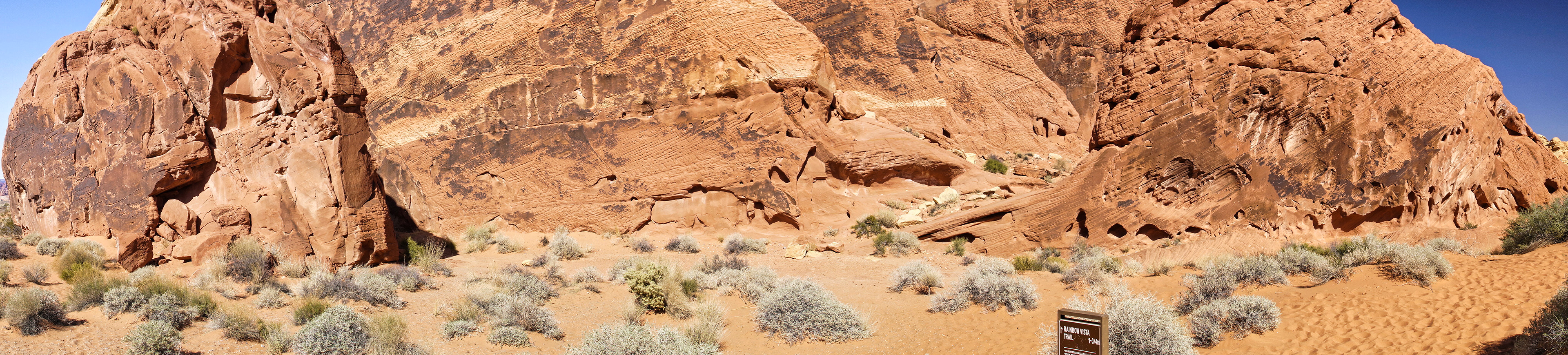 NV Desert 00132