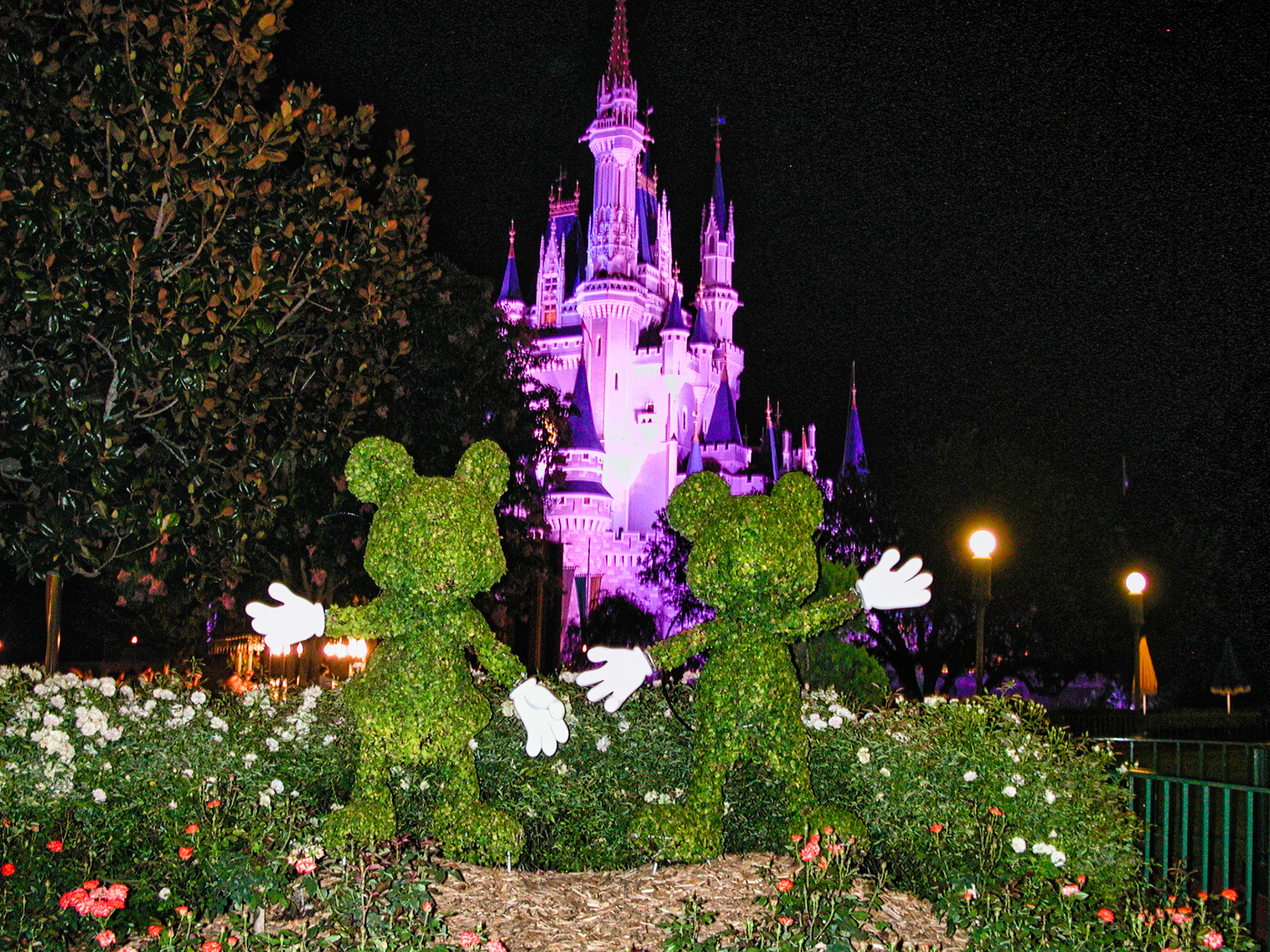 Florida Disney 00007