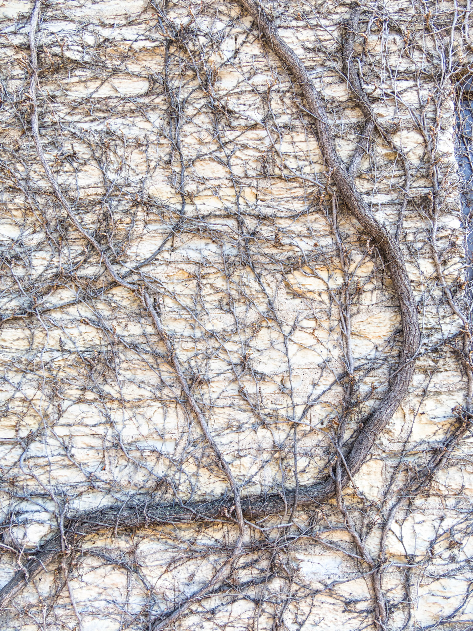 IL Miscellaneous 00275
