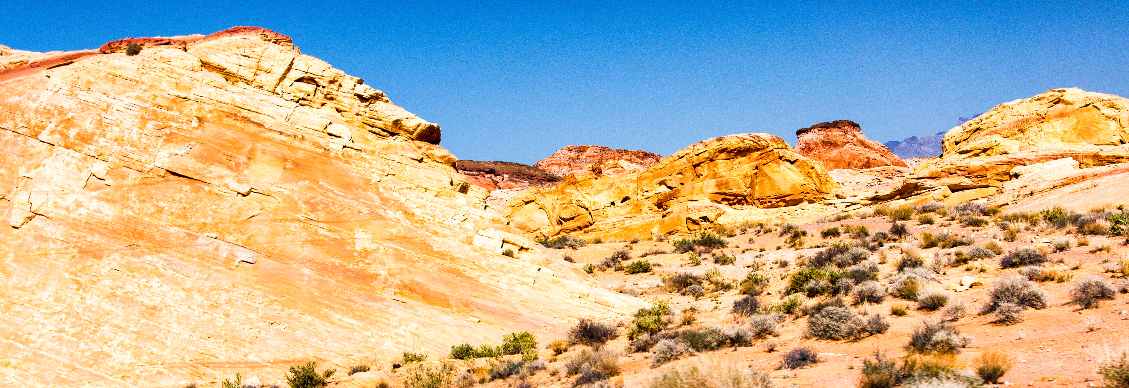 NV Desert 00206