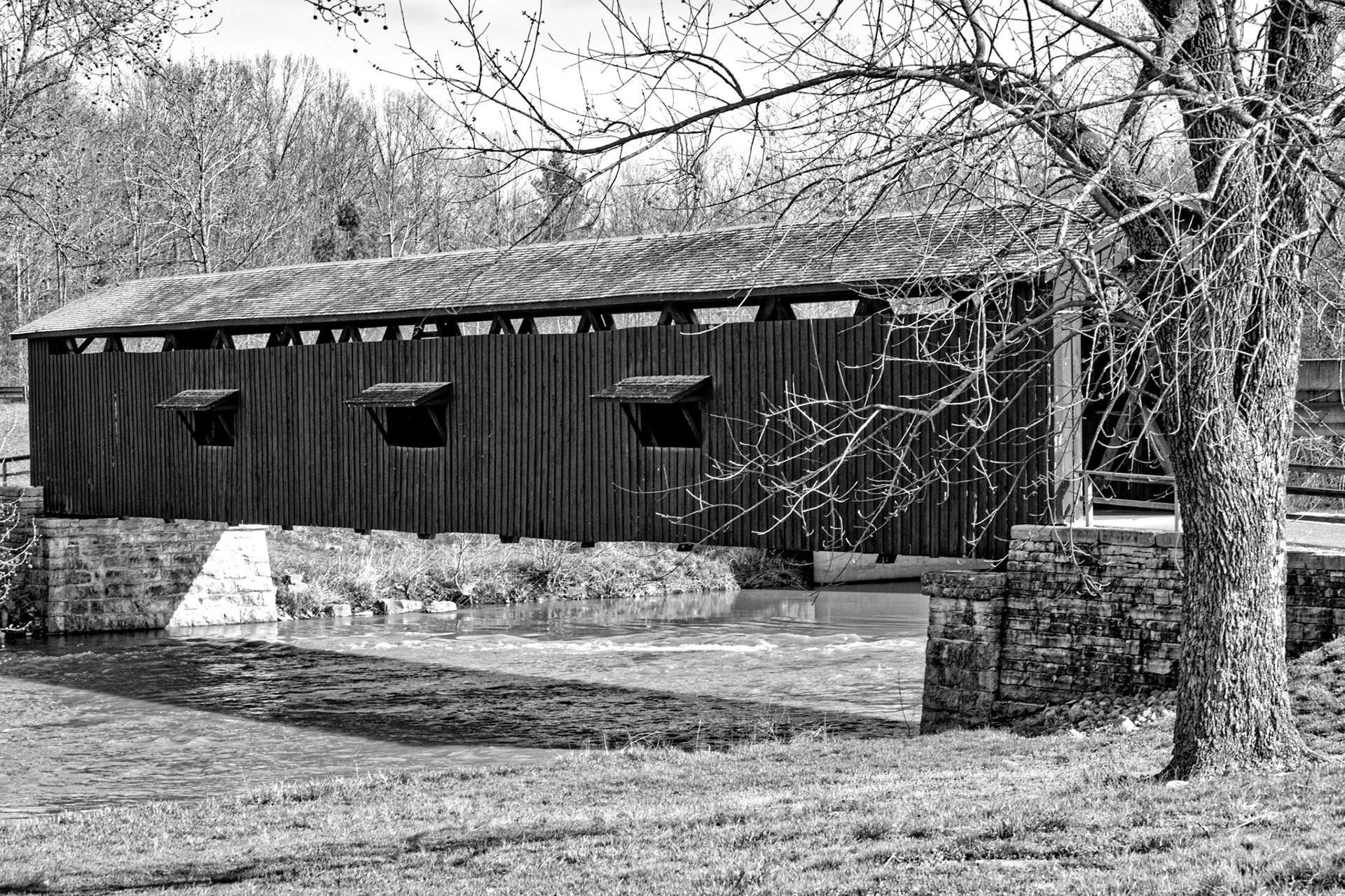 Black & White 00011