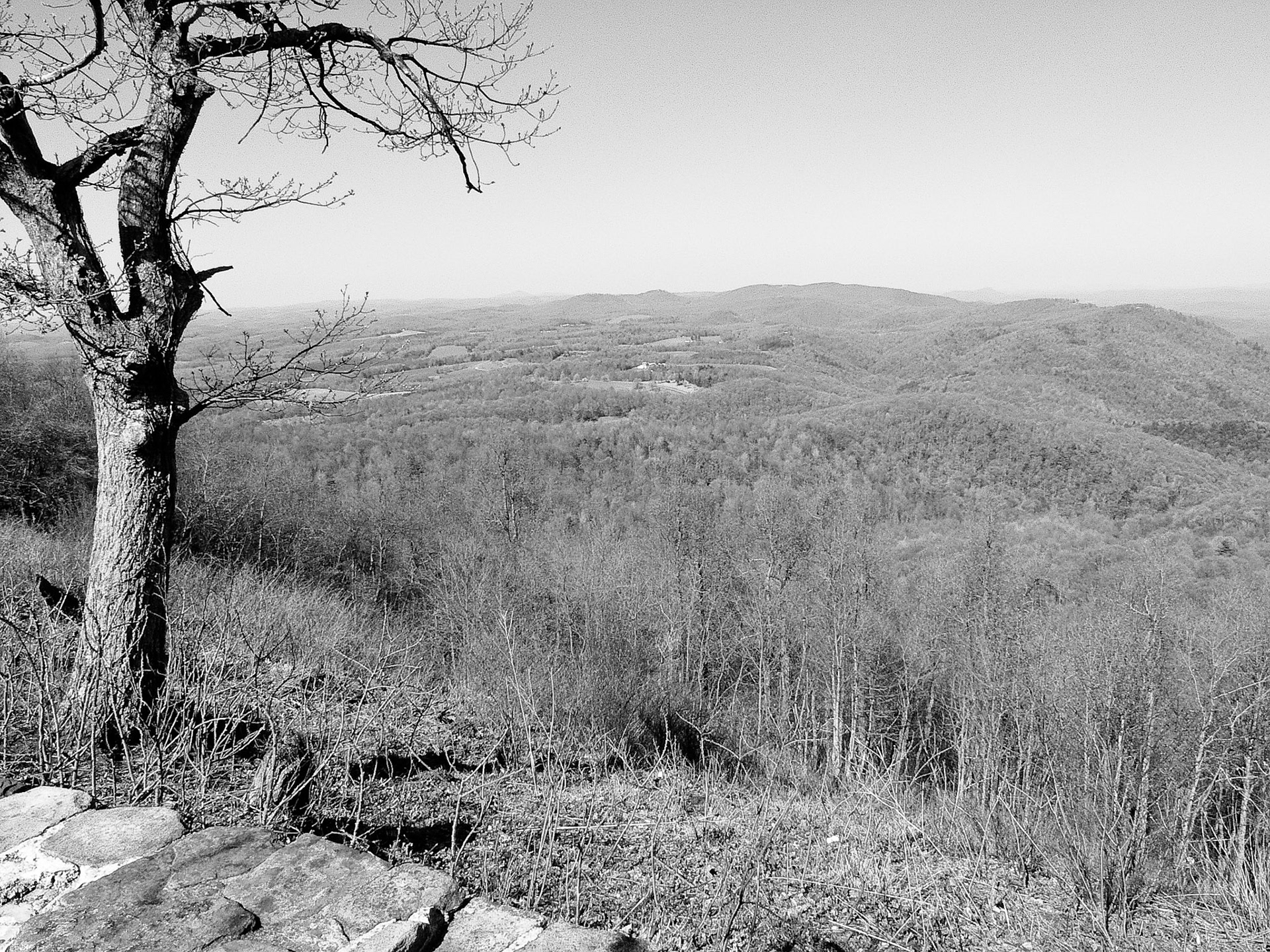 Black & White 00039