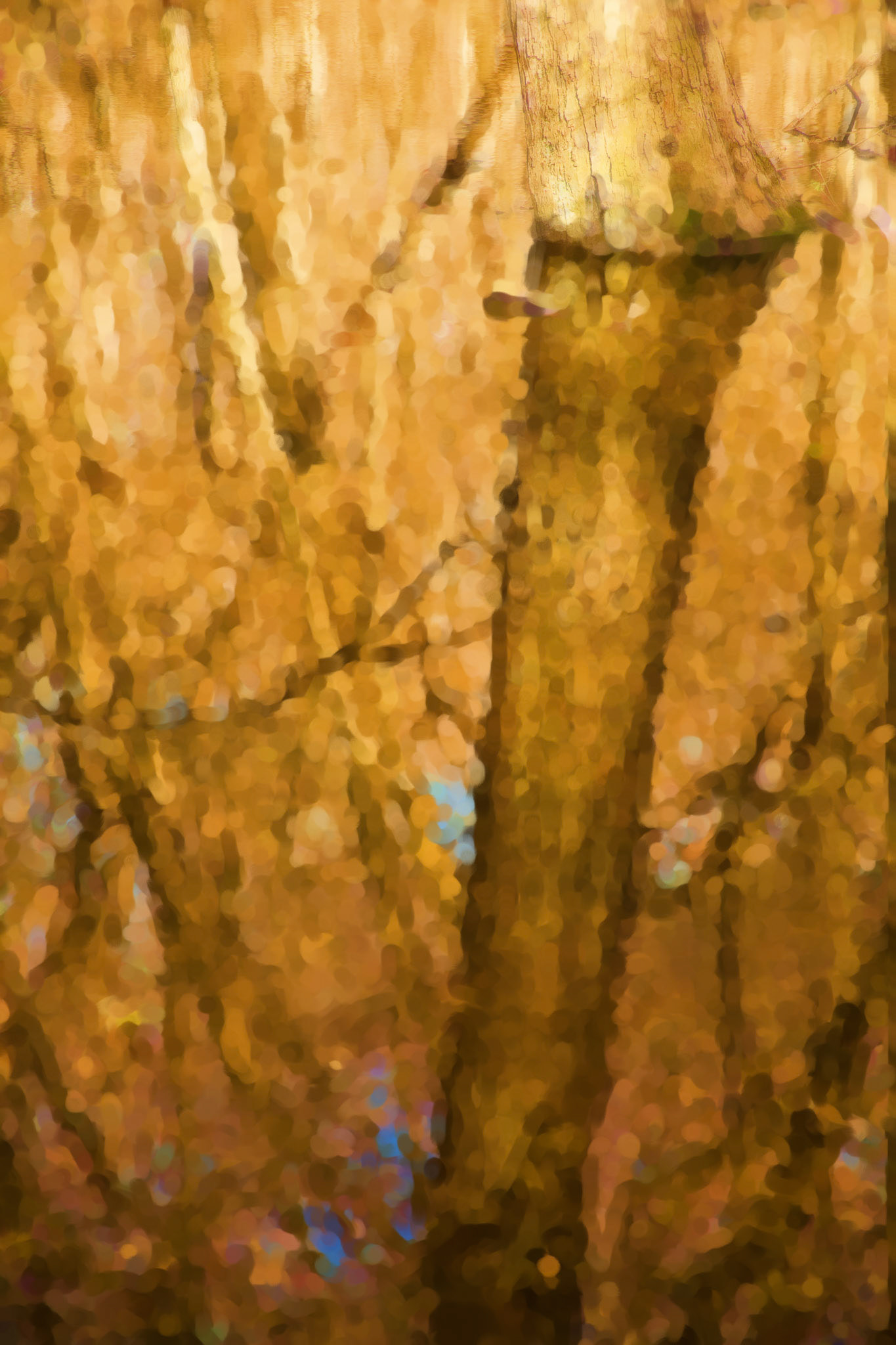 Paintings 00279