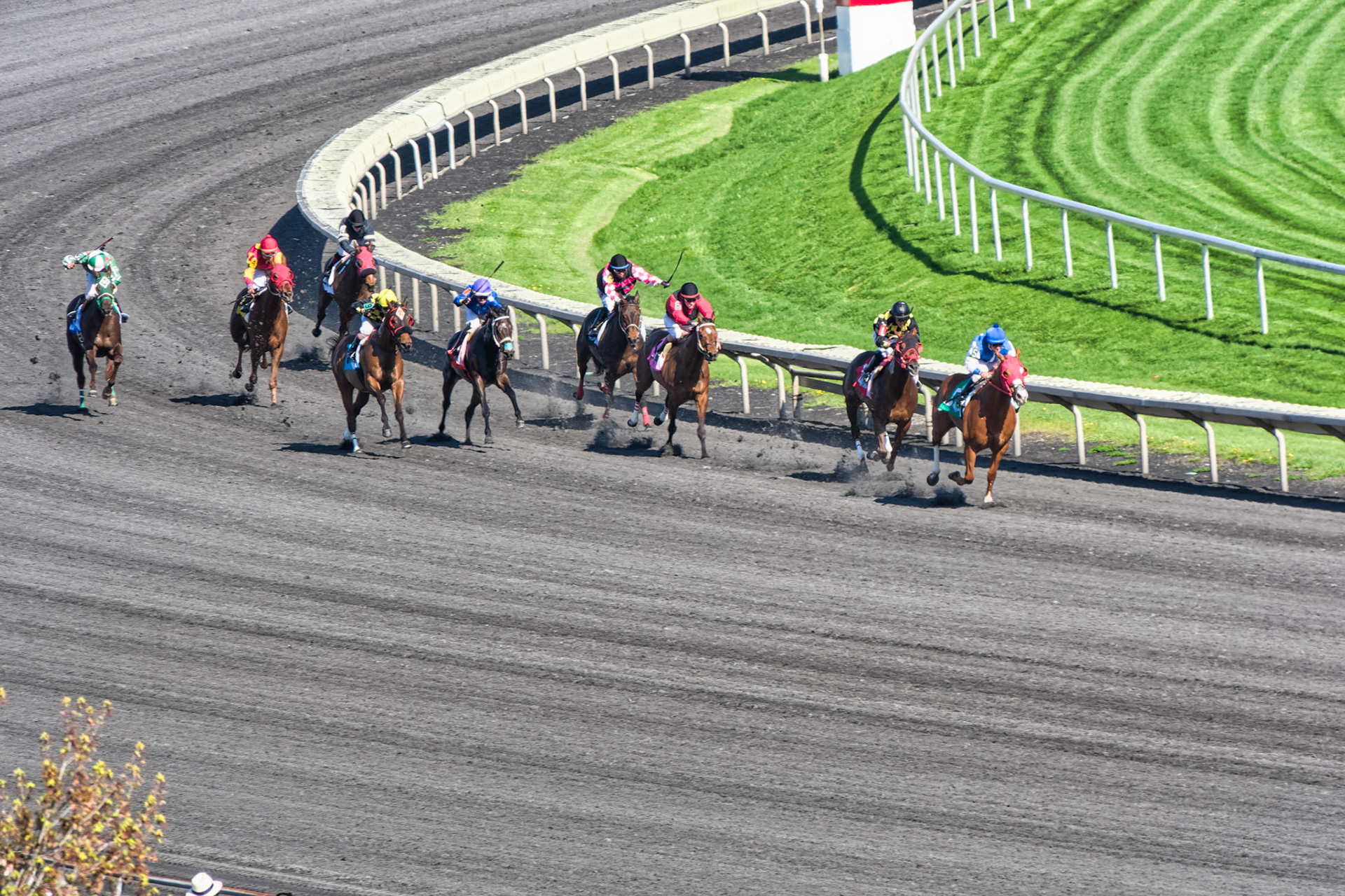 IL Arlington Park 00041