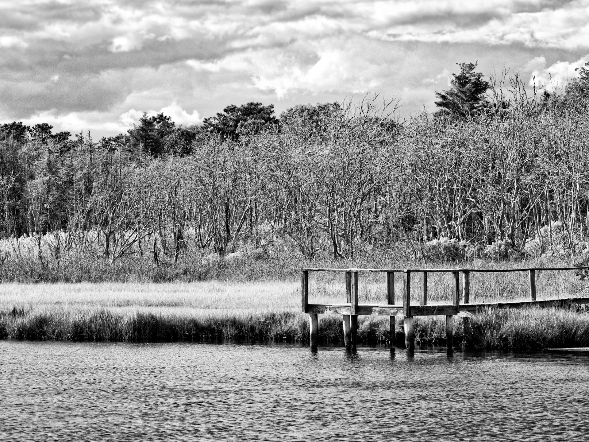 Black & White 00007