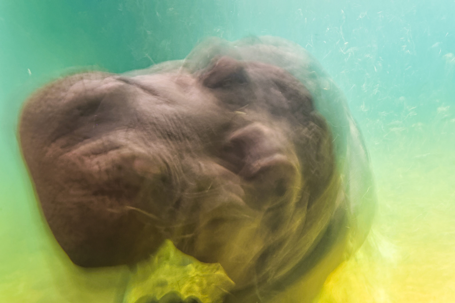 NJ Aquarium 00023