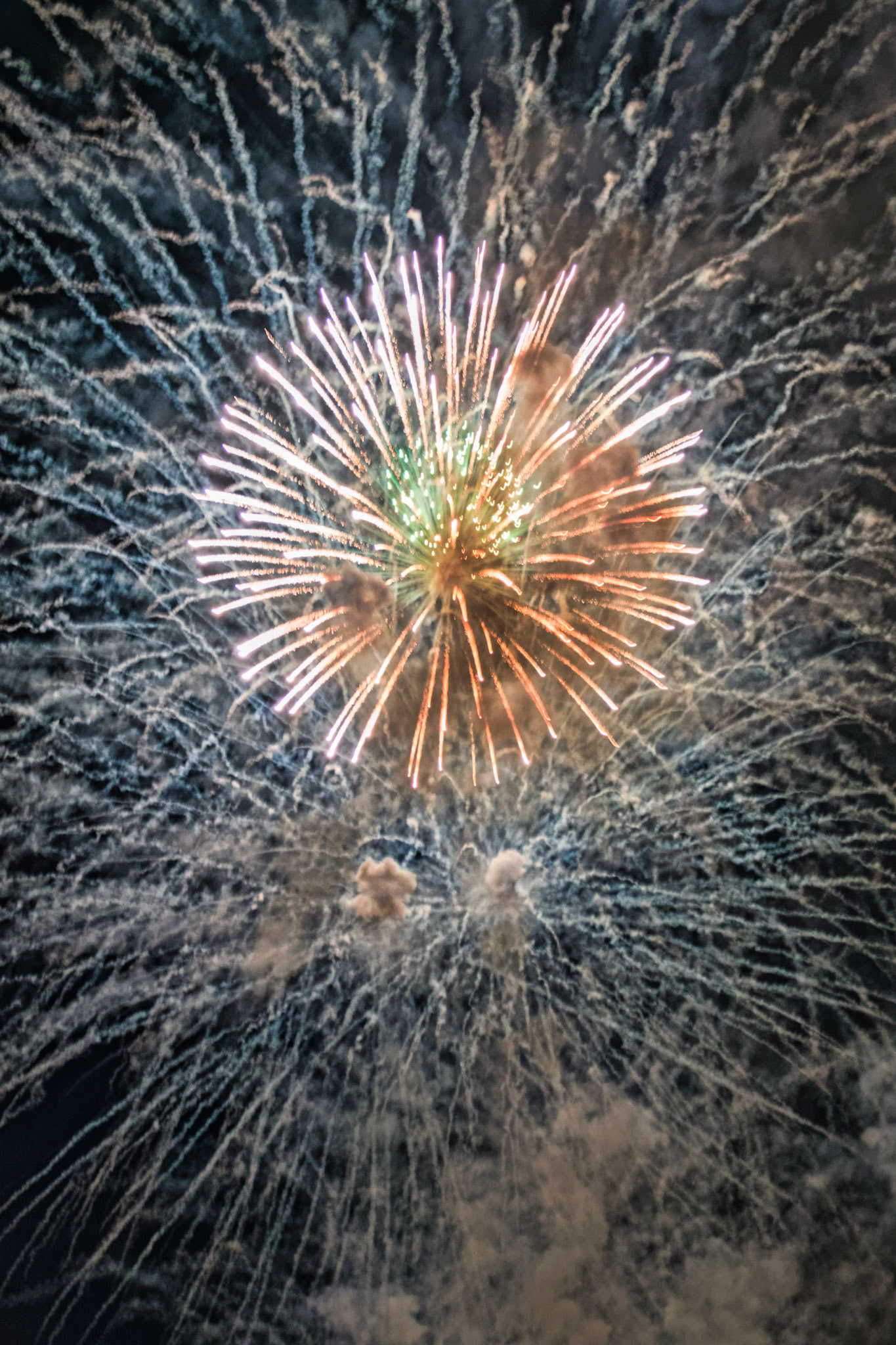 IL Miscellaneous 00319