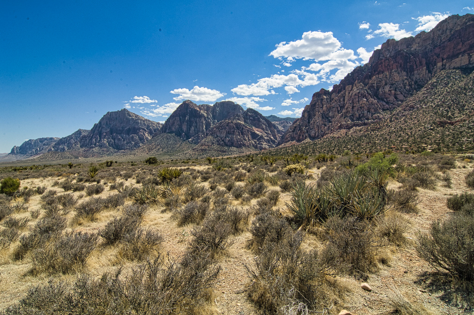 NV Desert 00020