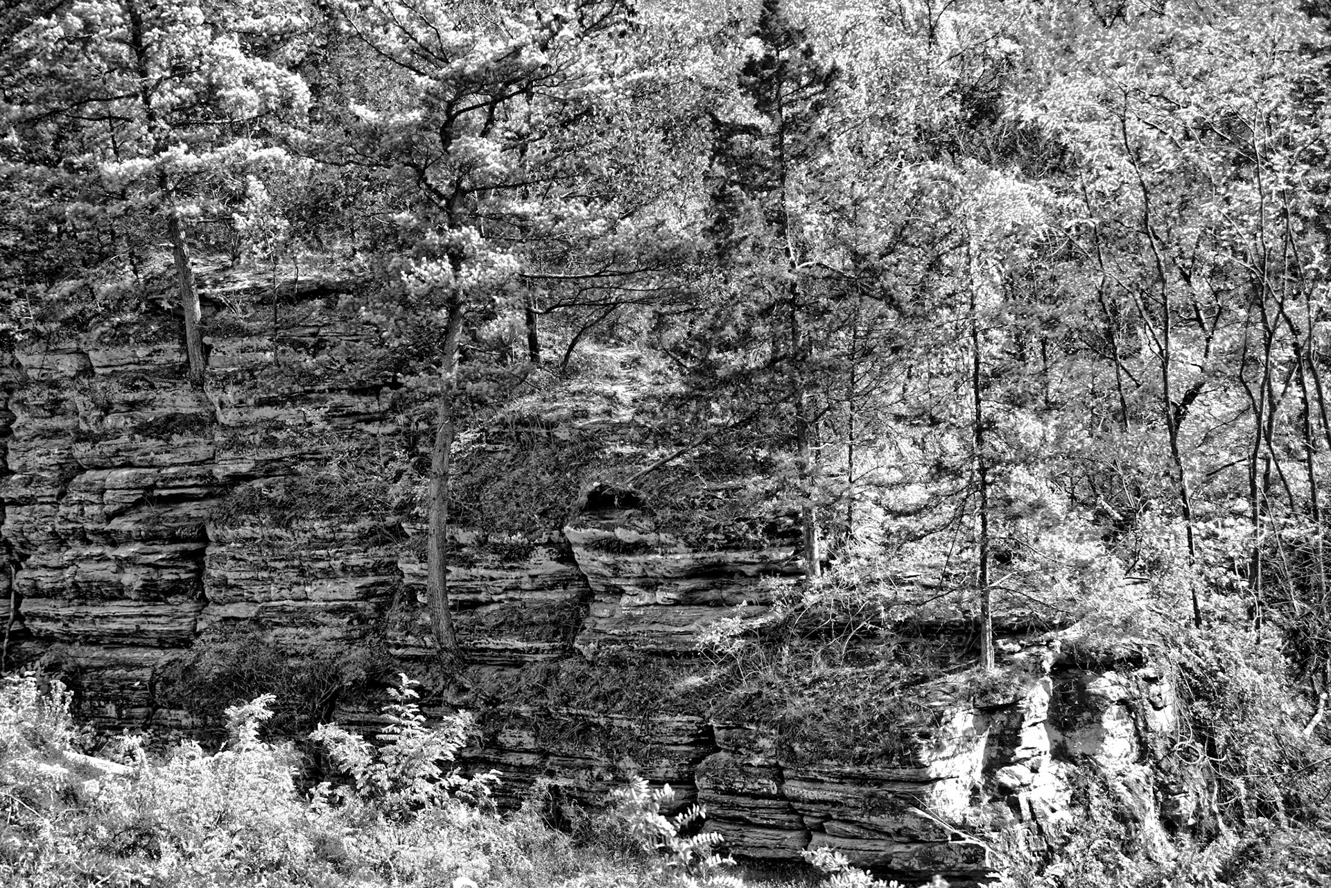 Black & White 00236