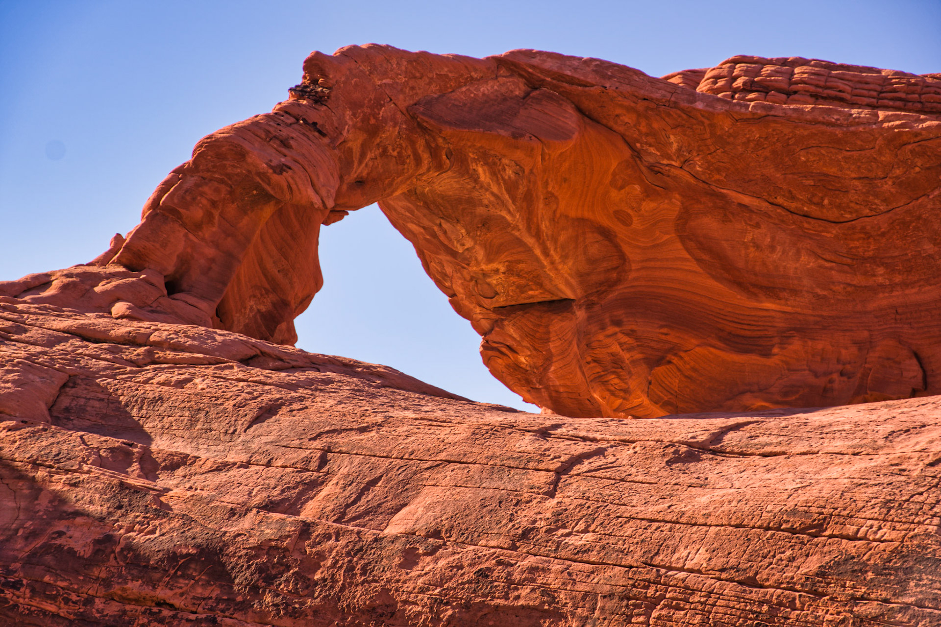 NV Desert 00081