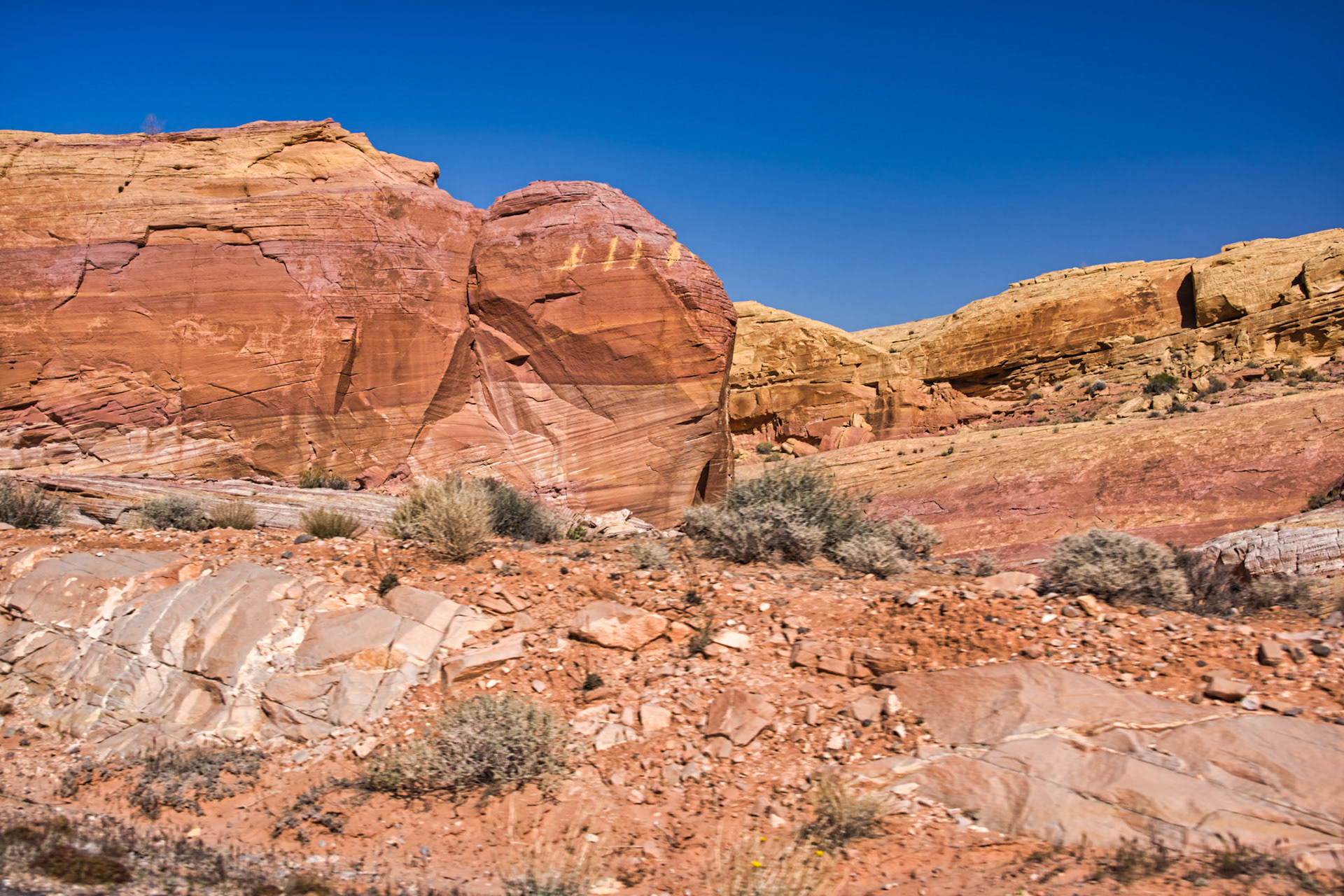 NV Desert 00108