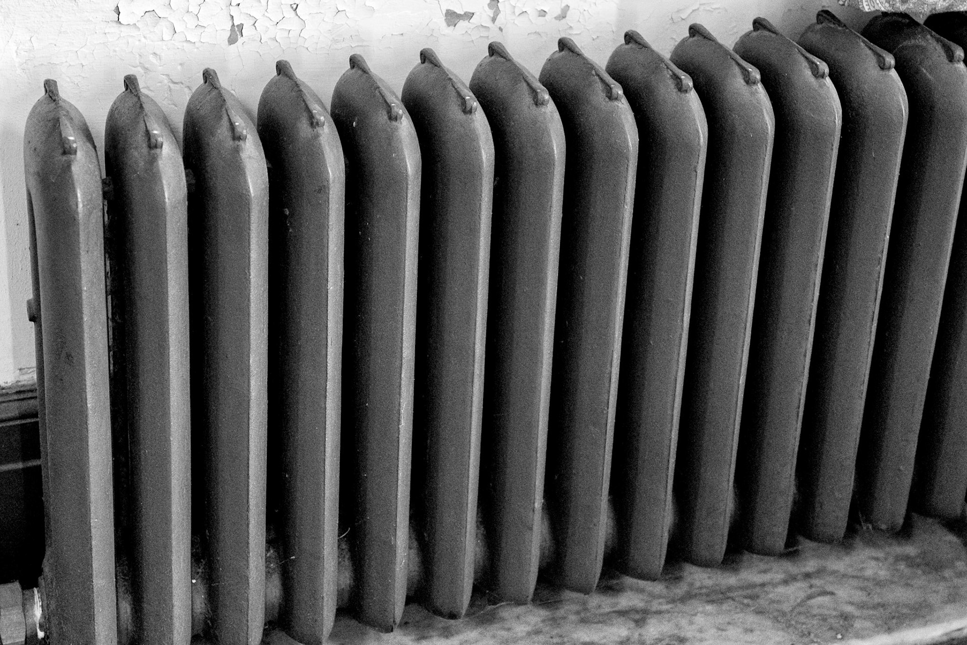 Black & White 00192