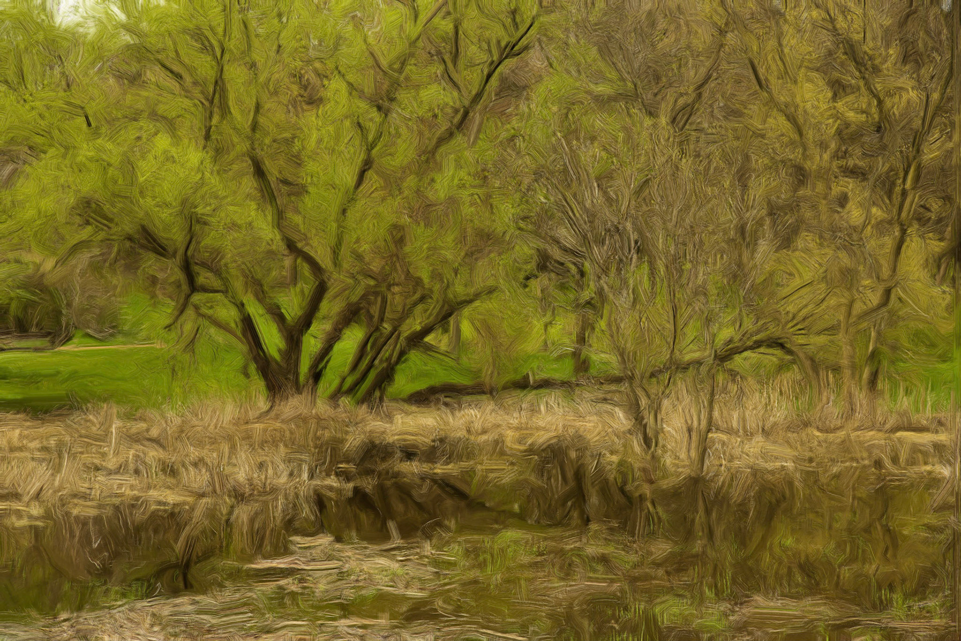 Paintings