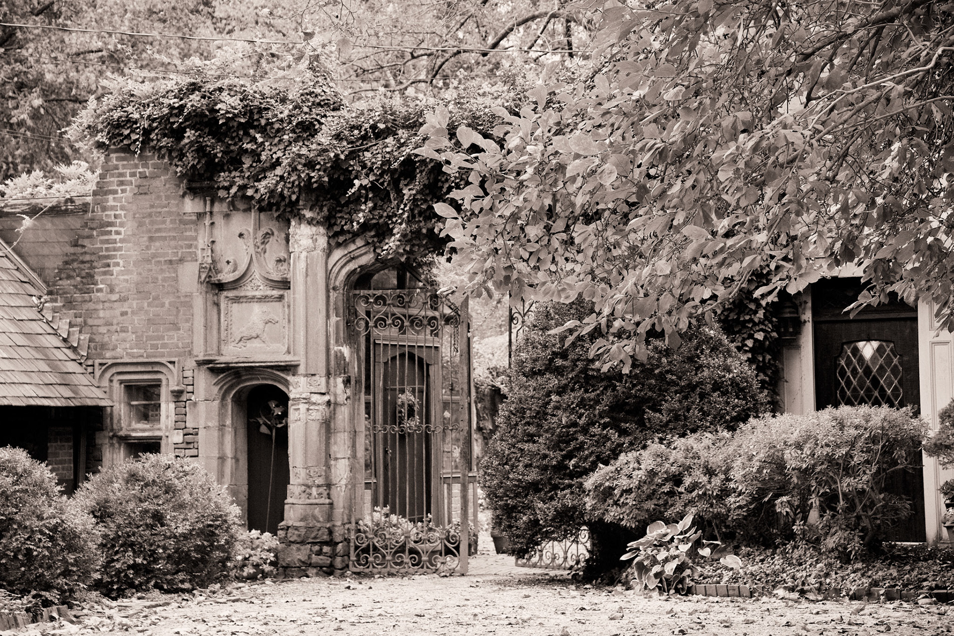 Black & White 00126