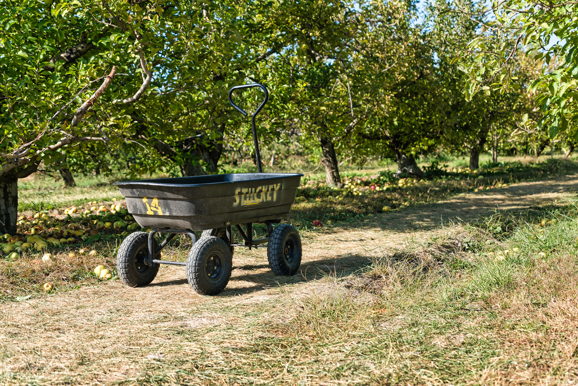 IN Stukey's Farm 00037