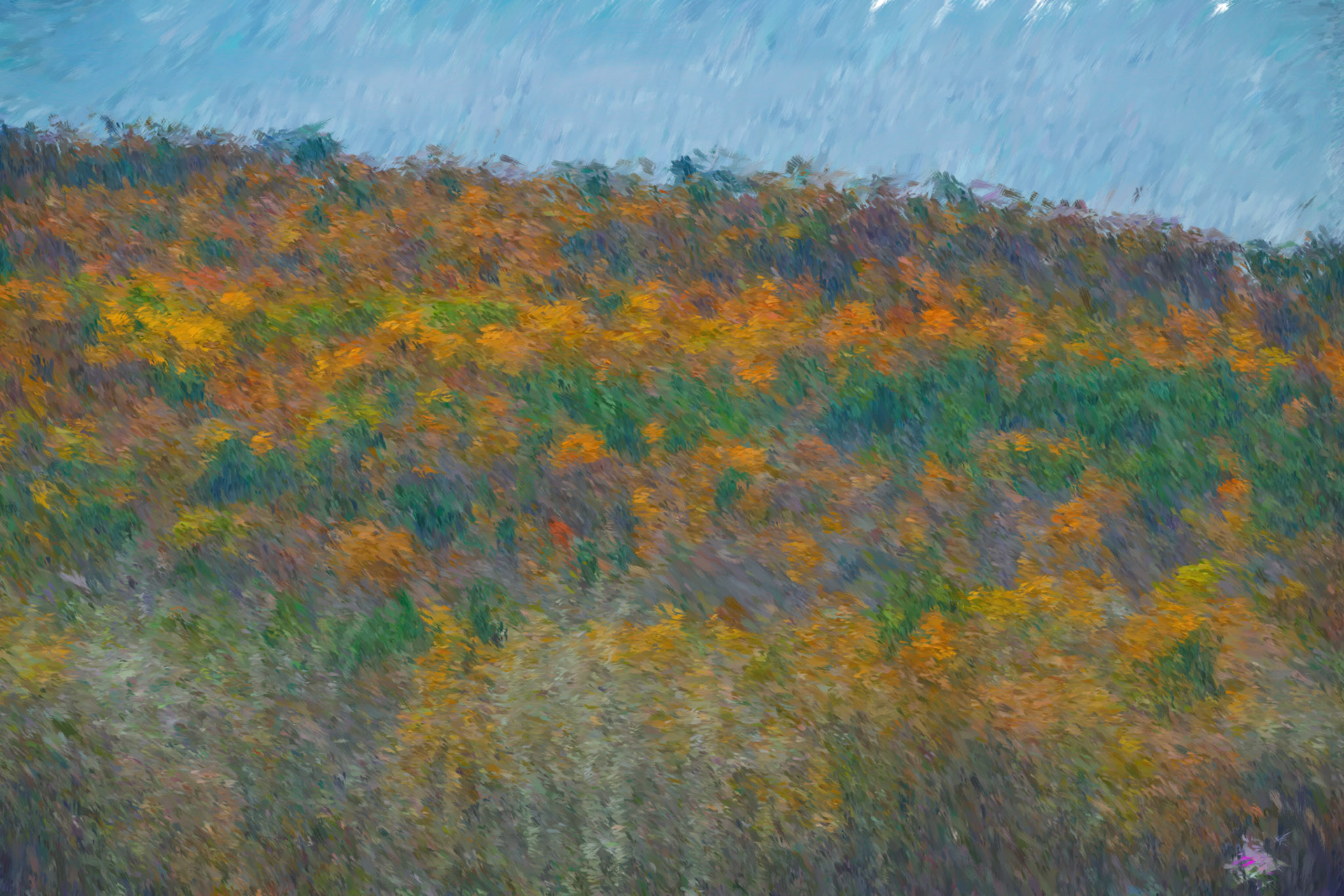 Paintings 00205