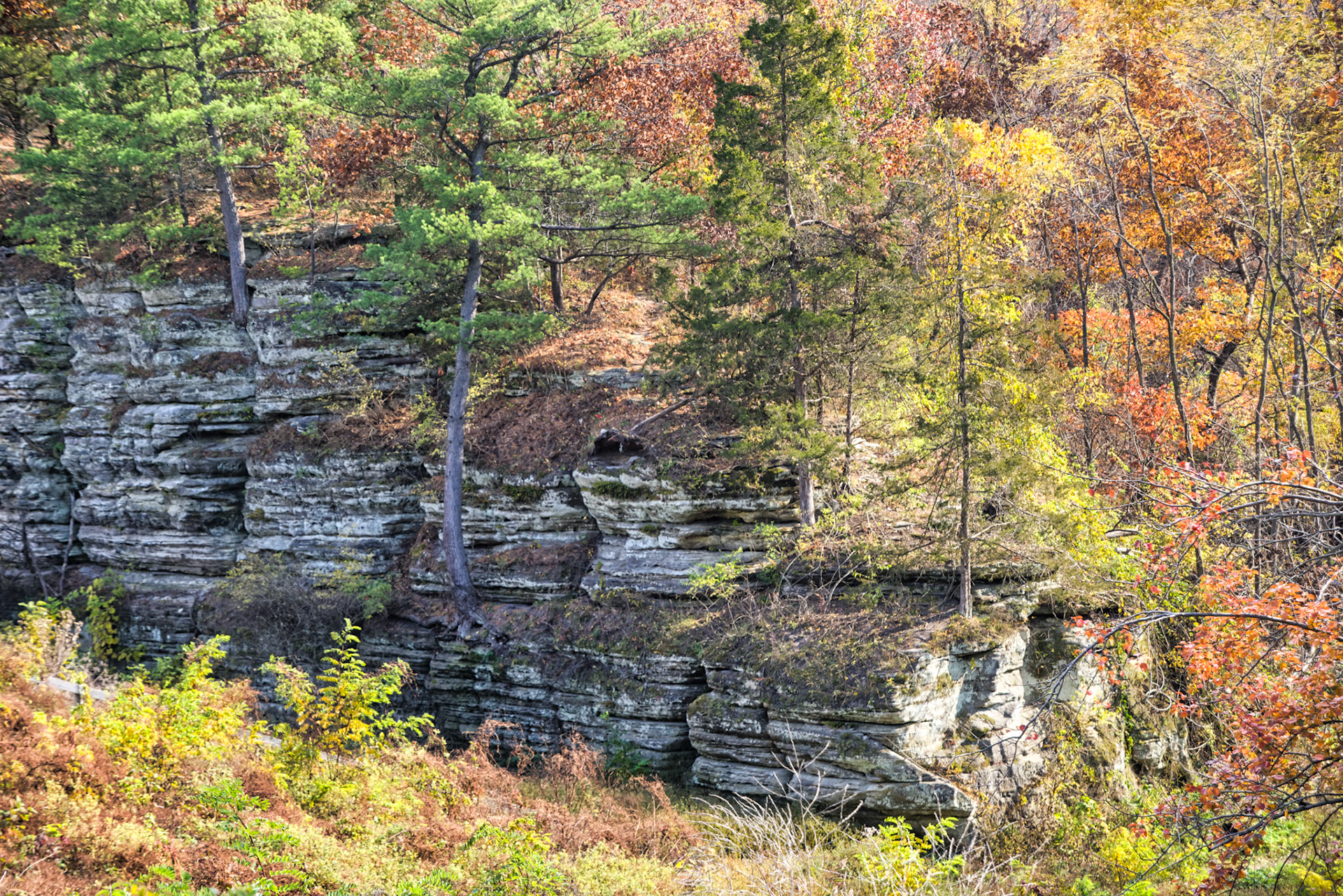 IL Starved Rock 00037