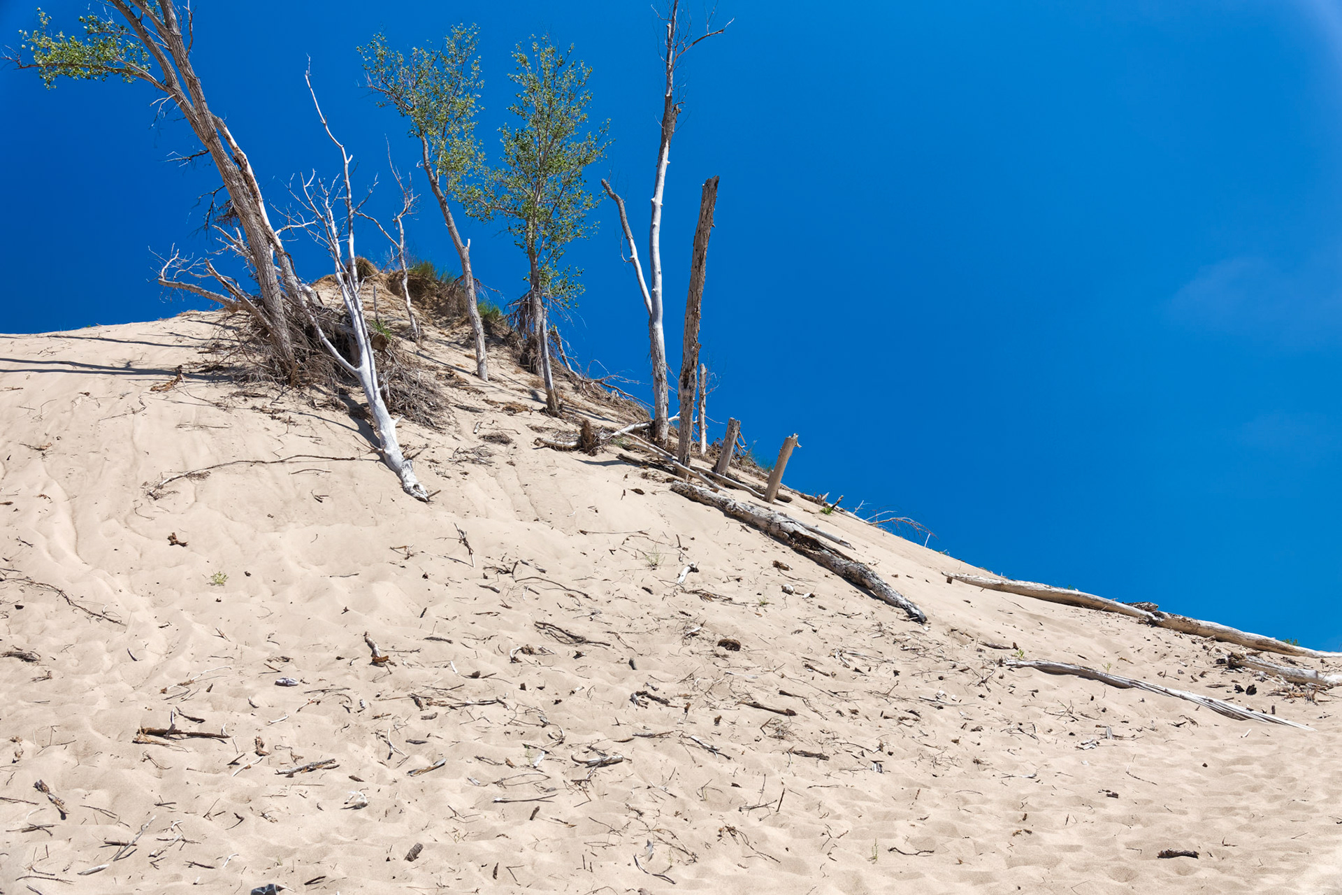 MI Dunes 00031