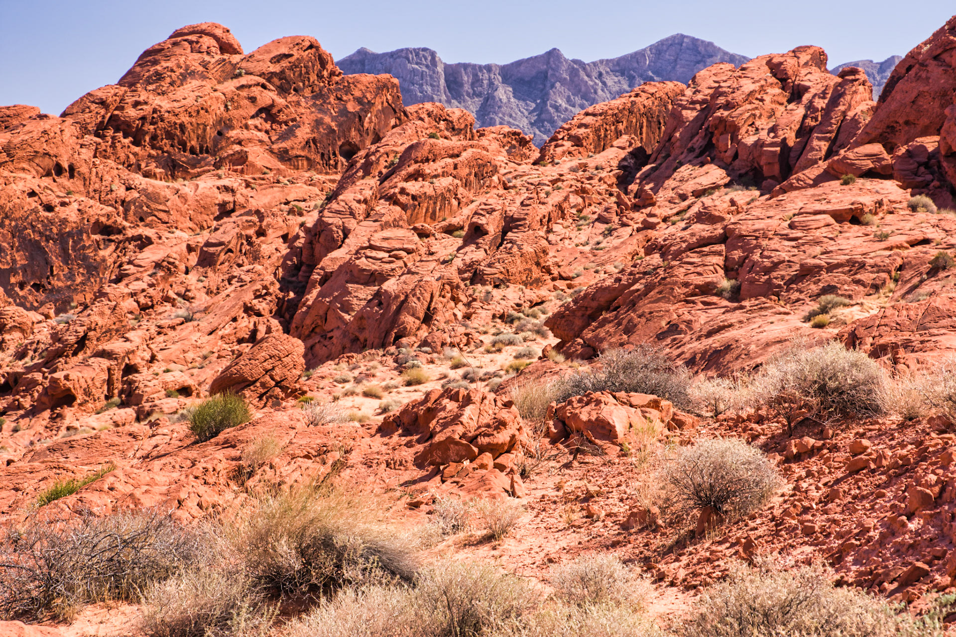 NV Desert 00145