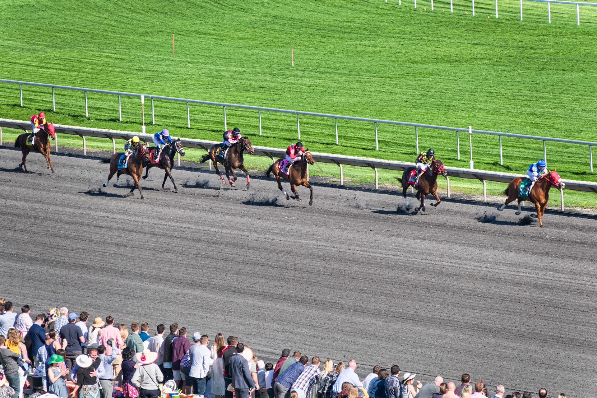 IL Arlington Park 00044