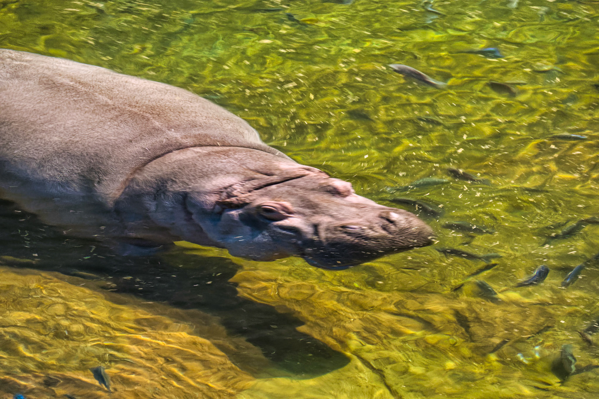 NJ Aquarium 00011