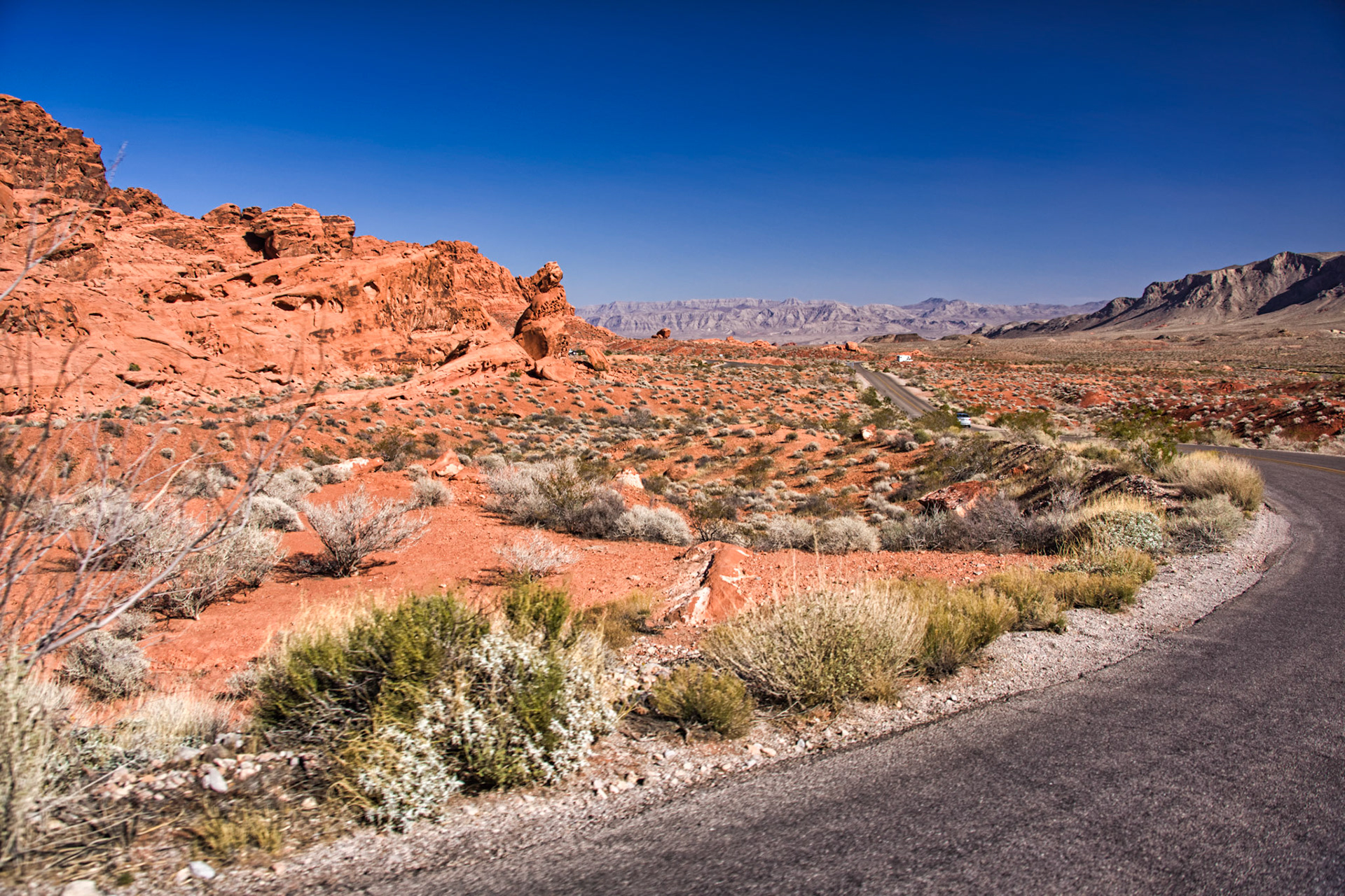 NV Desert 00092