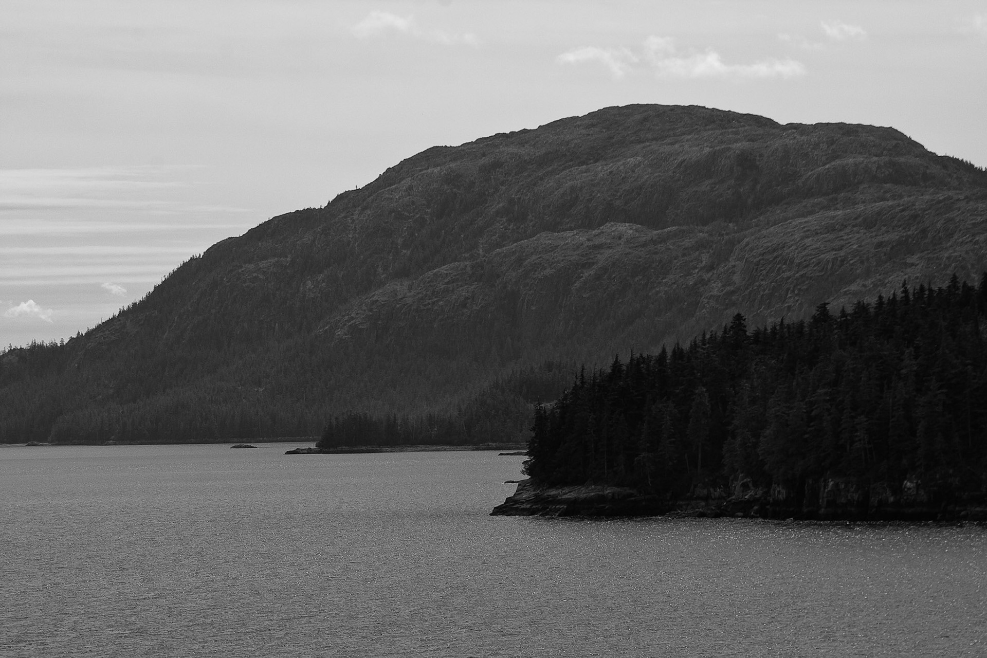 Black & White 00064