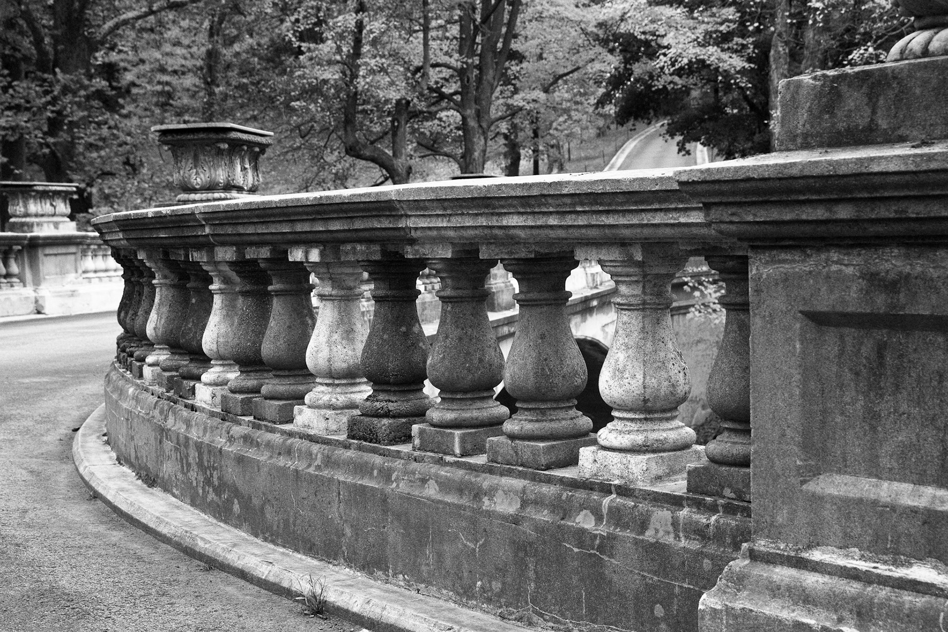 Black & White 00135