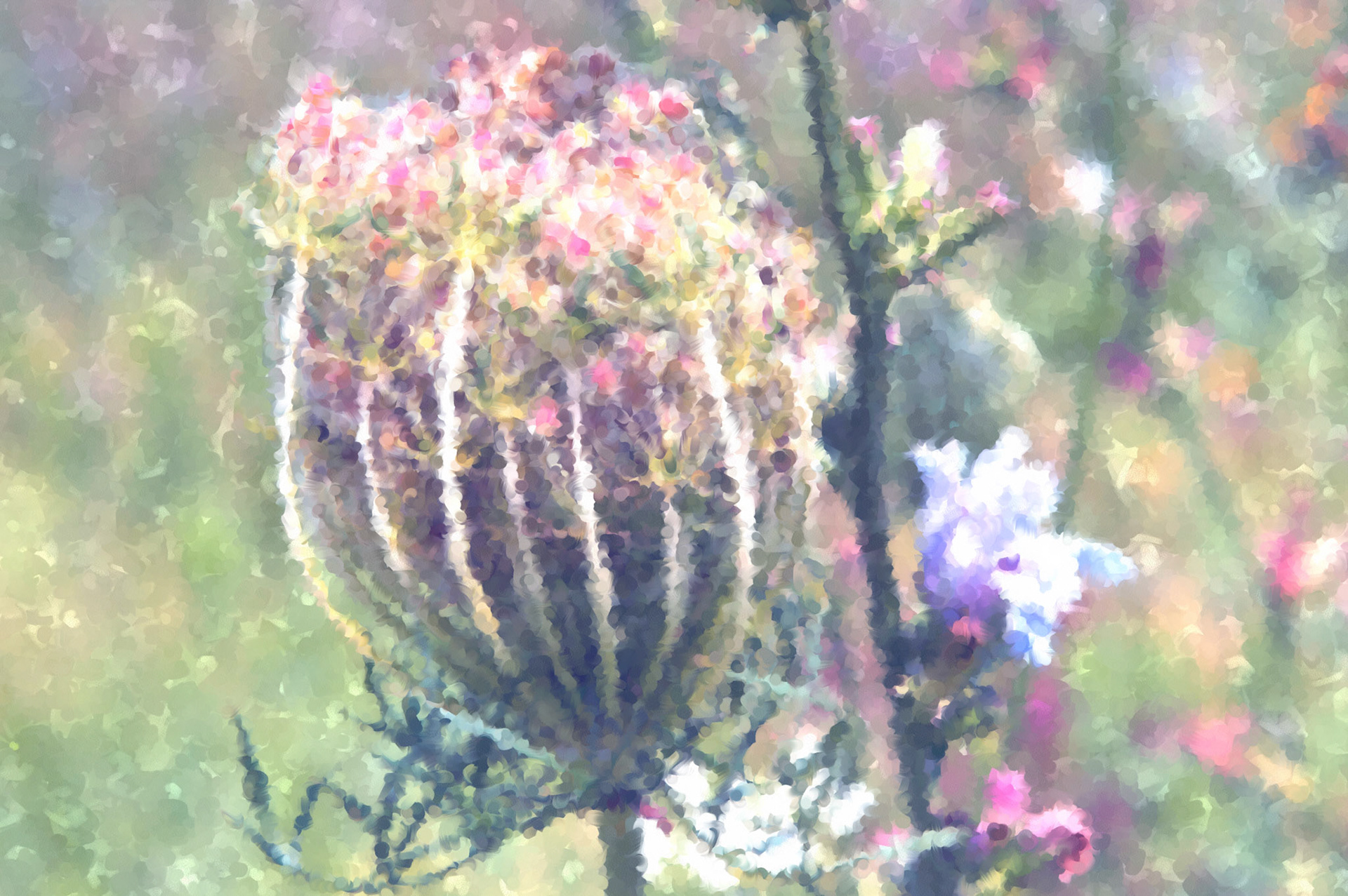 Paintings 00289