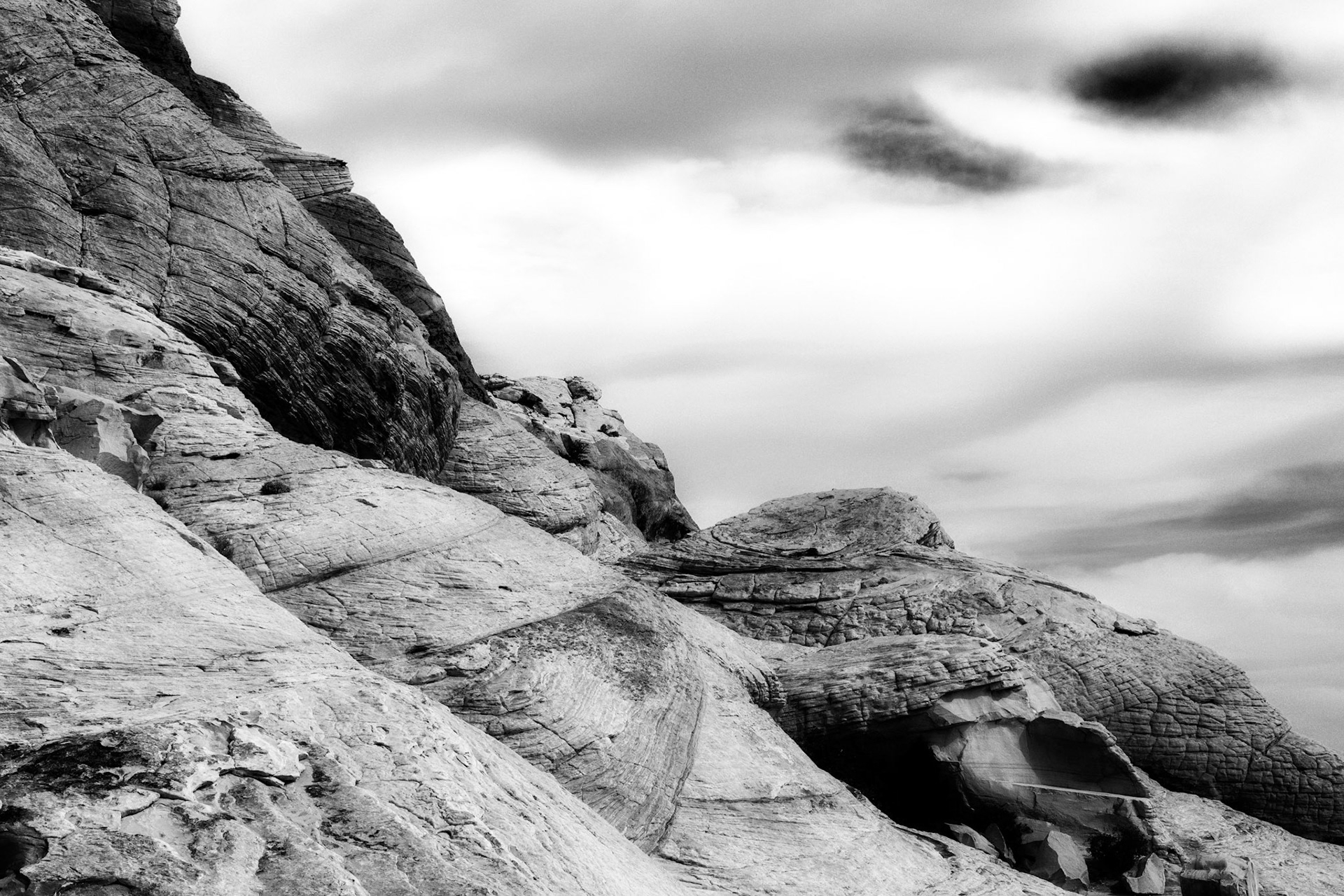Black & White 00201