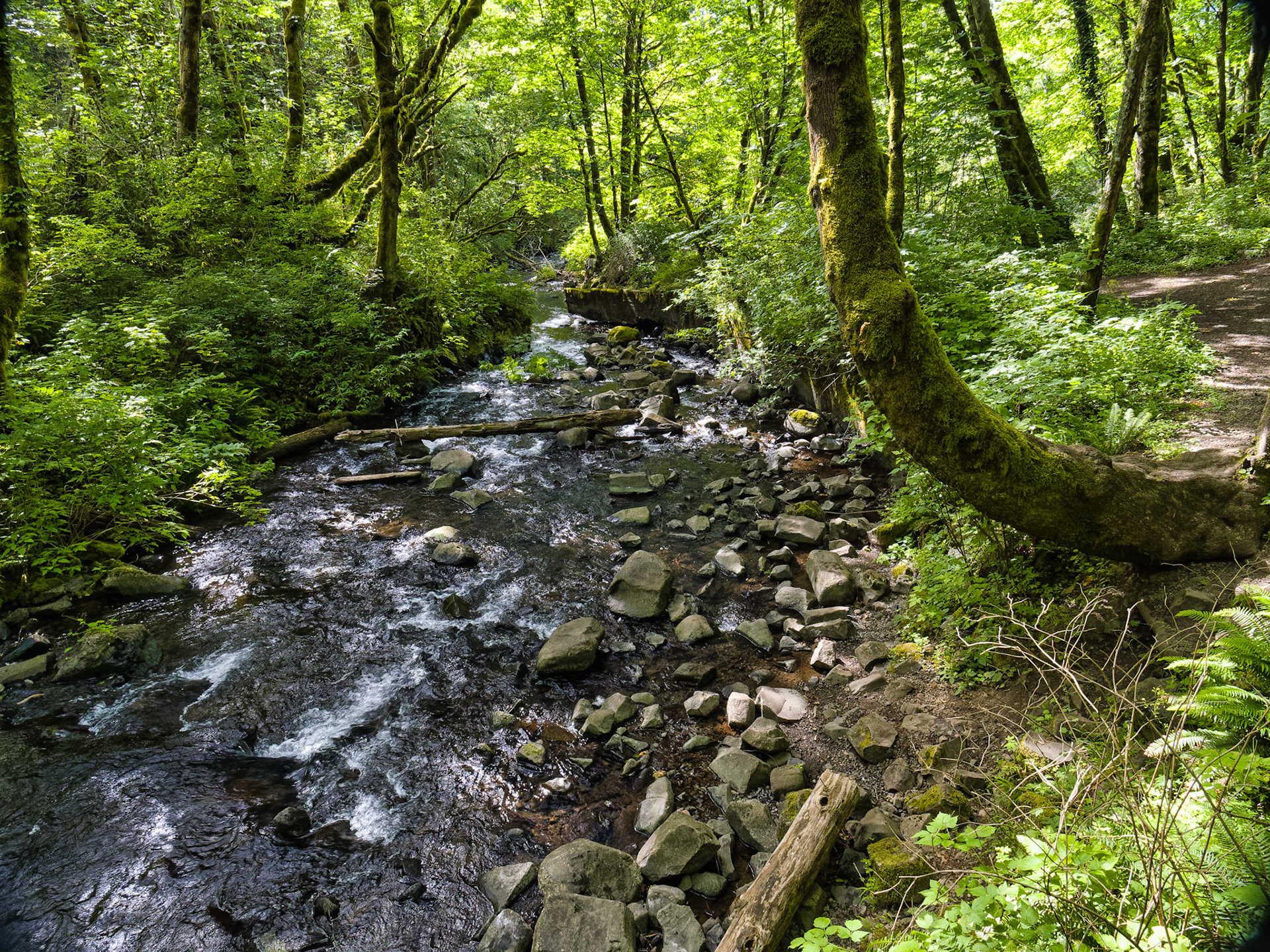 OR Portland 00043
