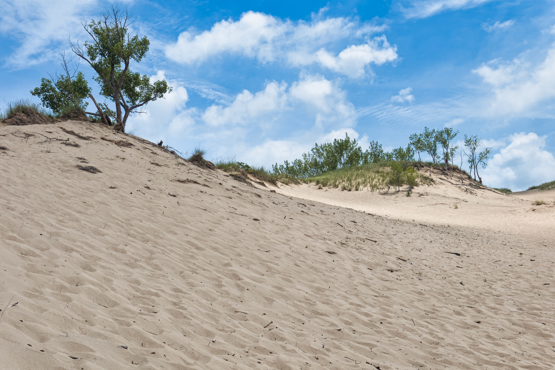 MI Dunes 00010