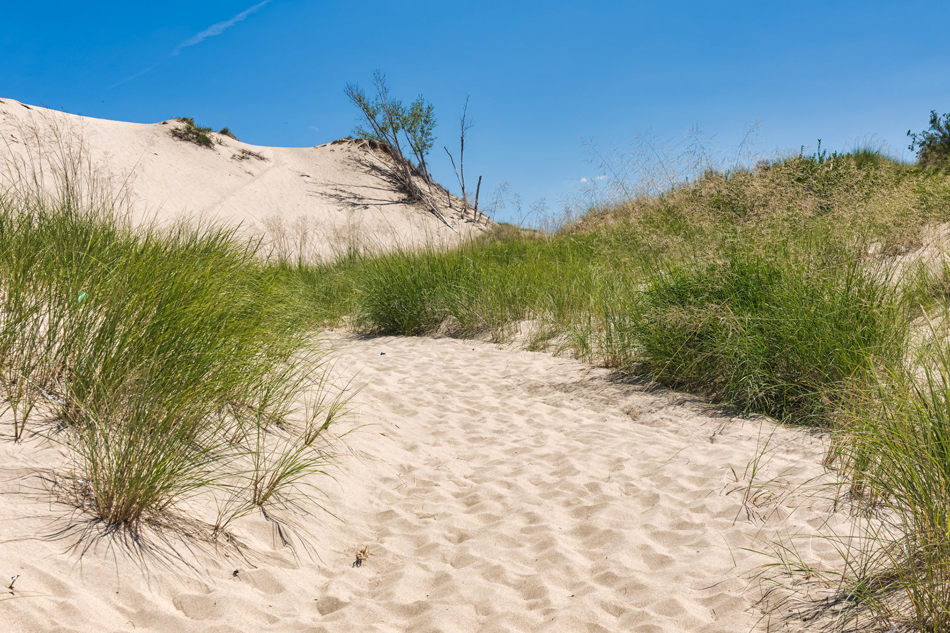 MI Dunes 00026