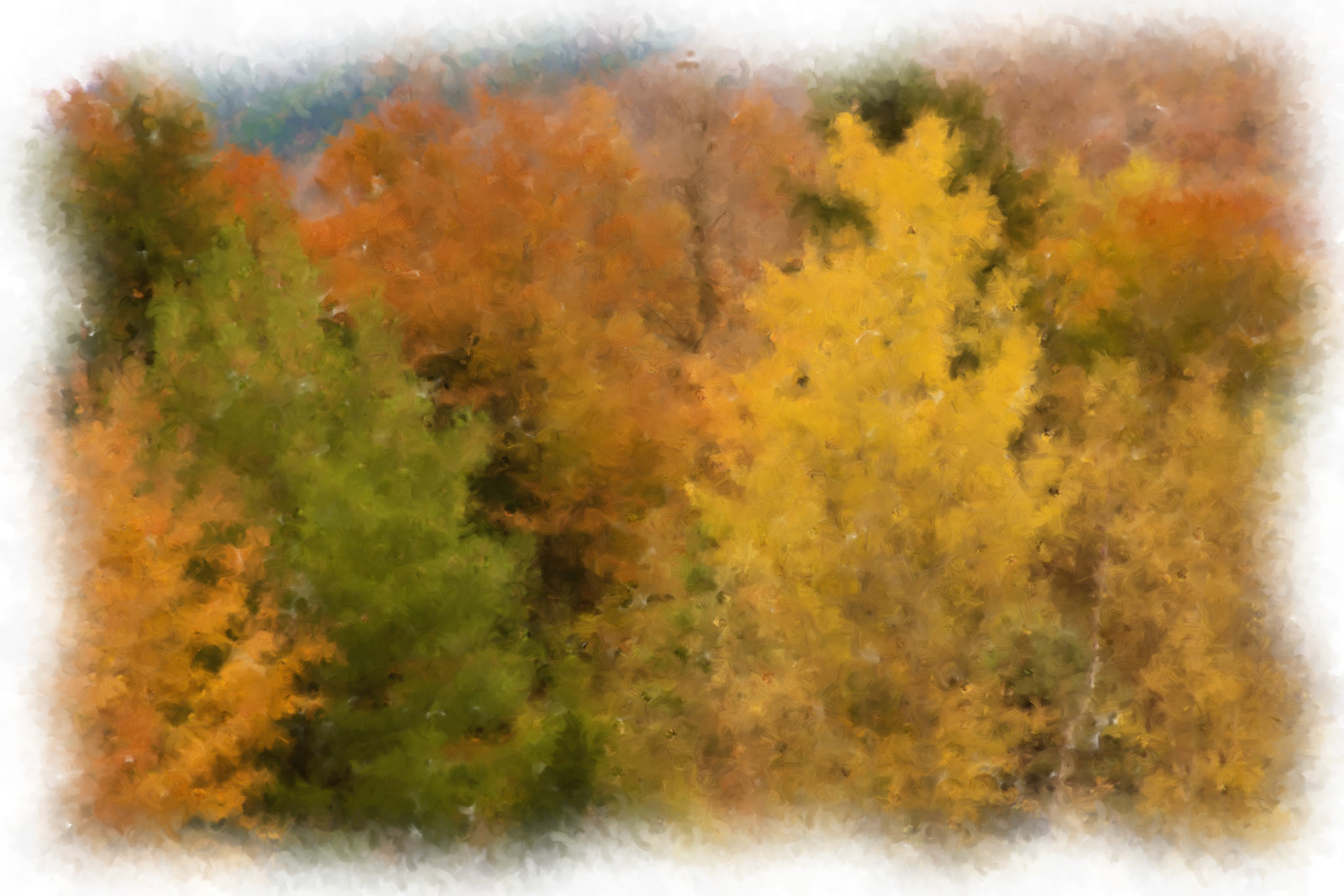 Paintings 00208