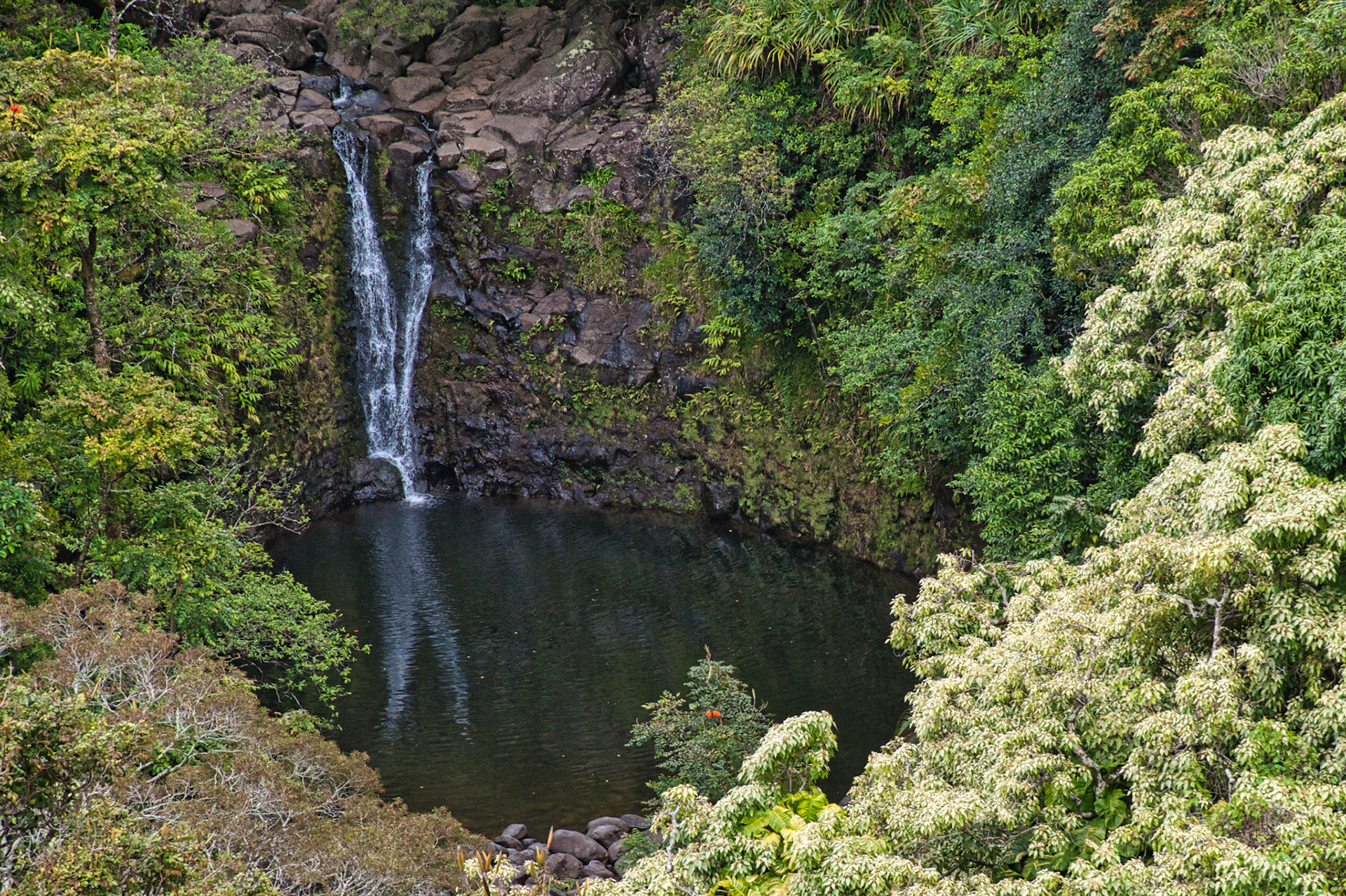 Hawaii Maui 00083
