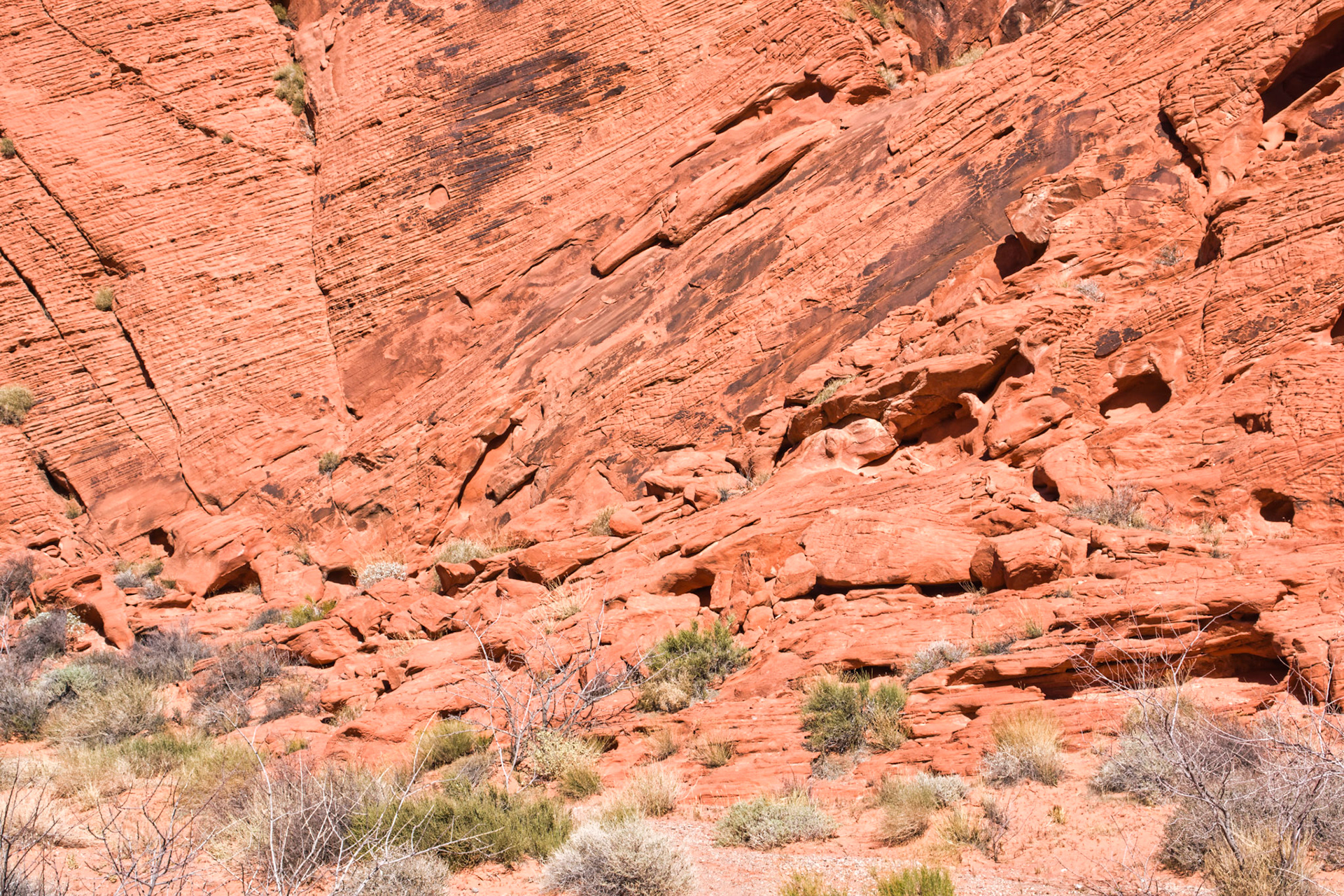 NV Desert 00142