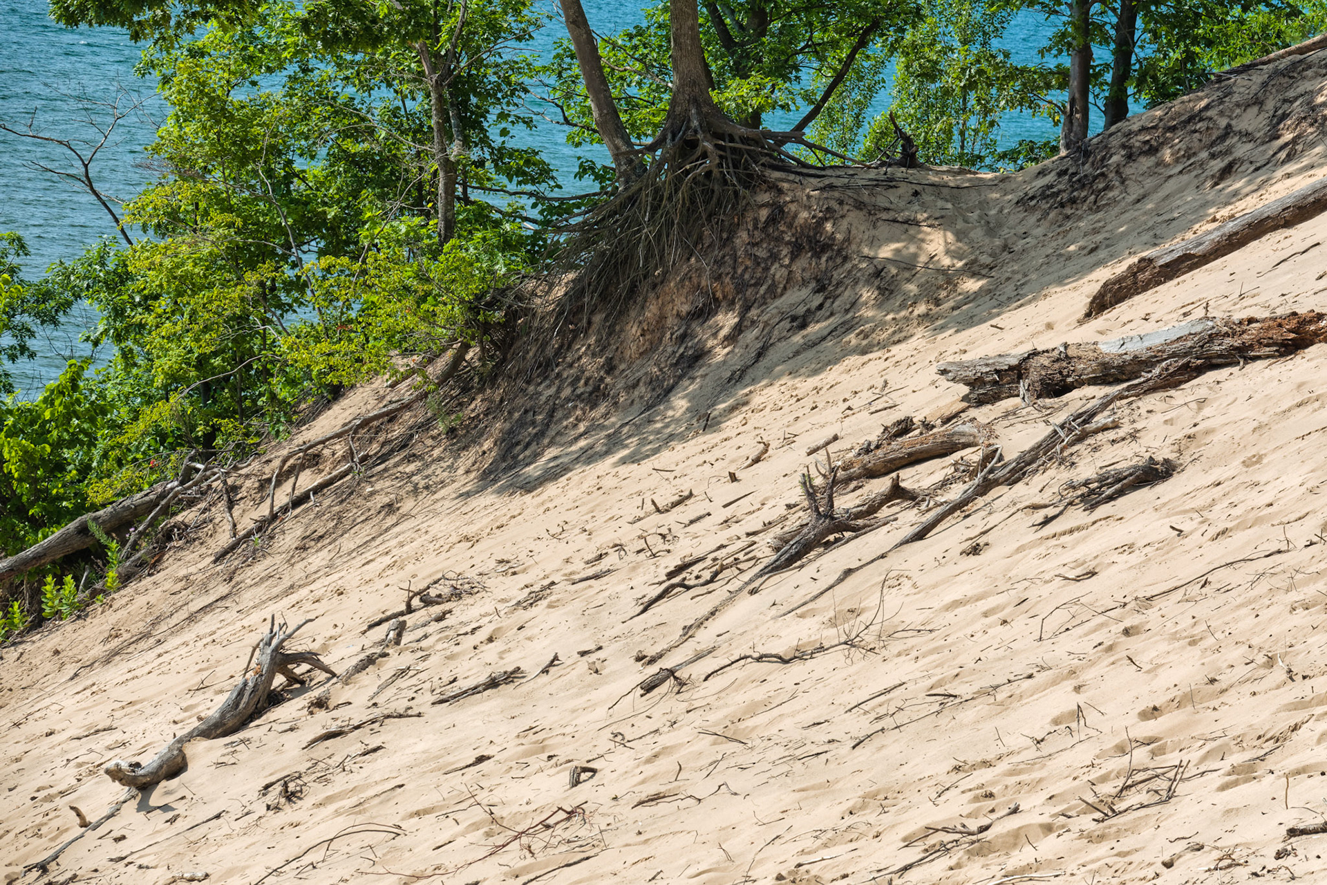MI Dunes 00115