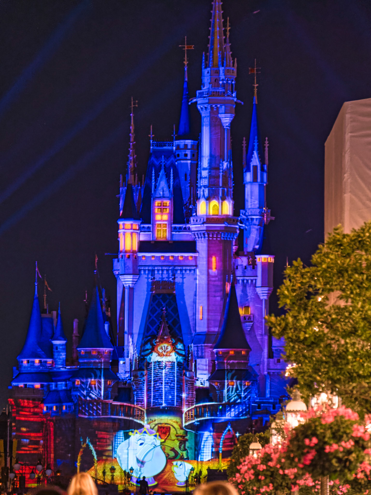 Florida Disney 00075