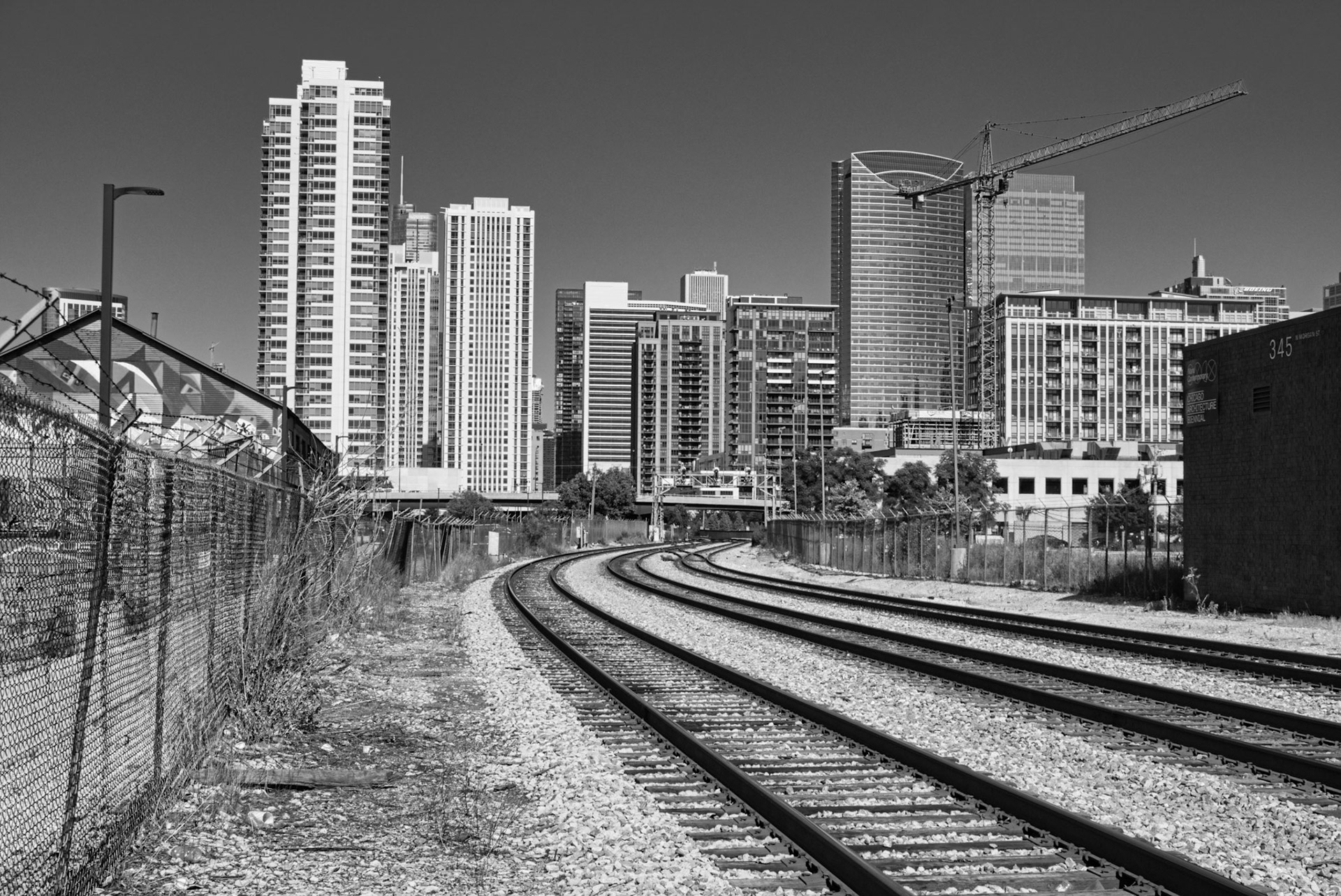 Black & White 00276