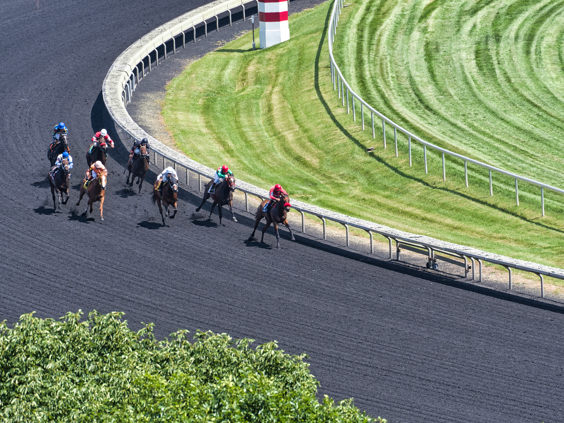IL Arlington Park 00016