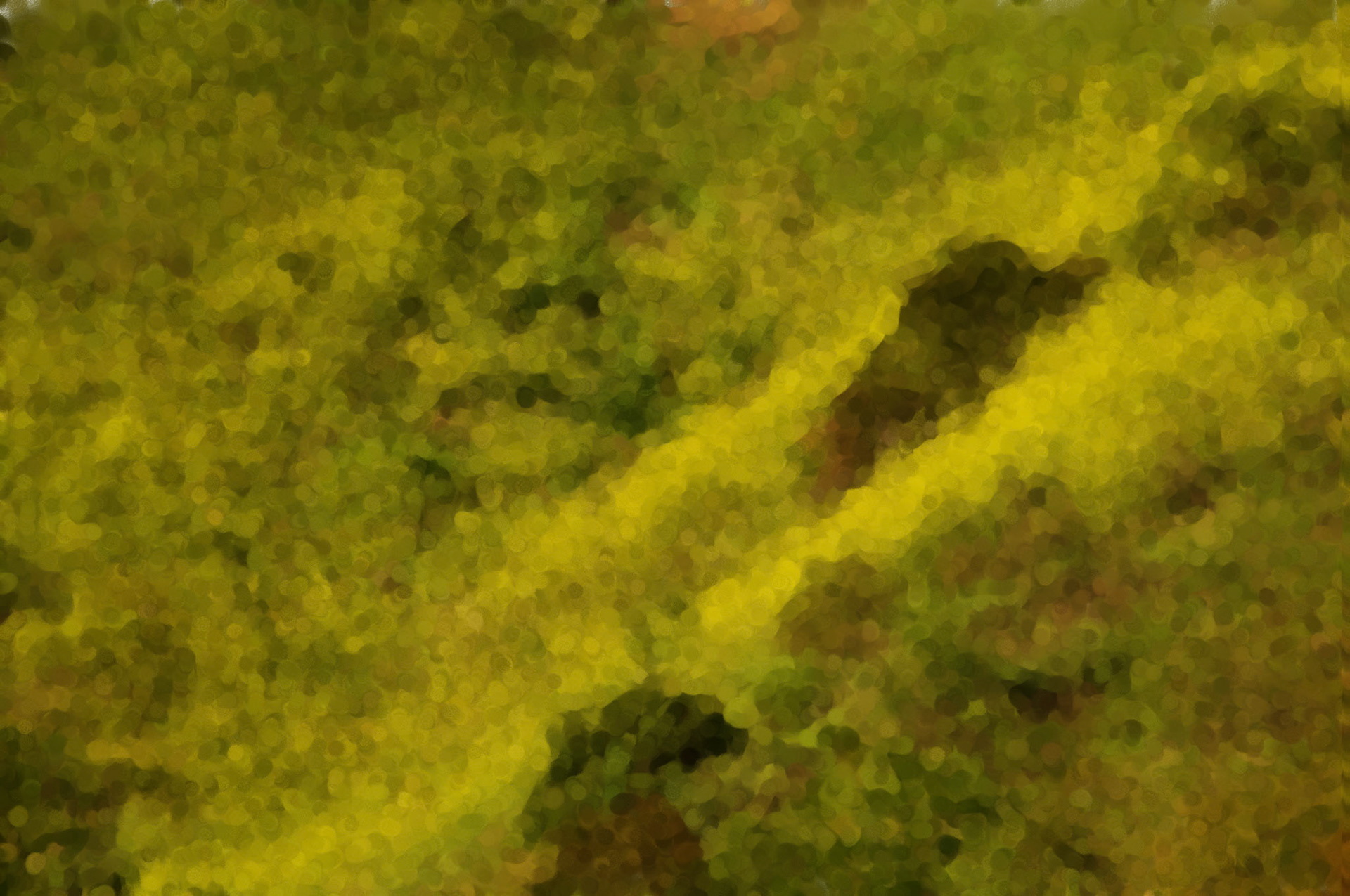 Paintings 00128