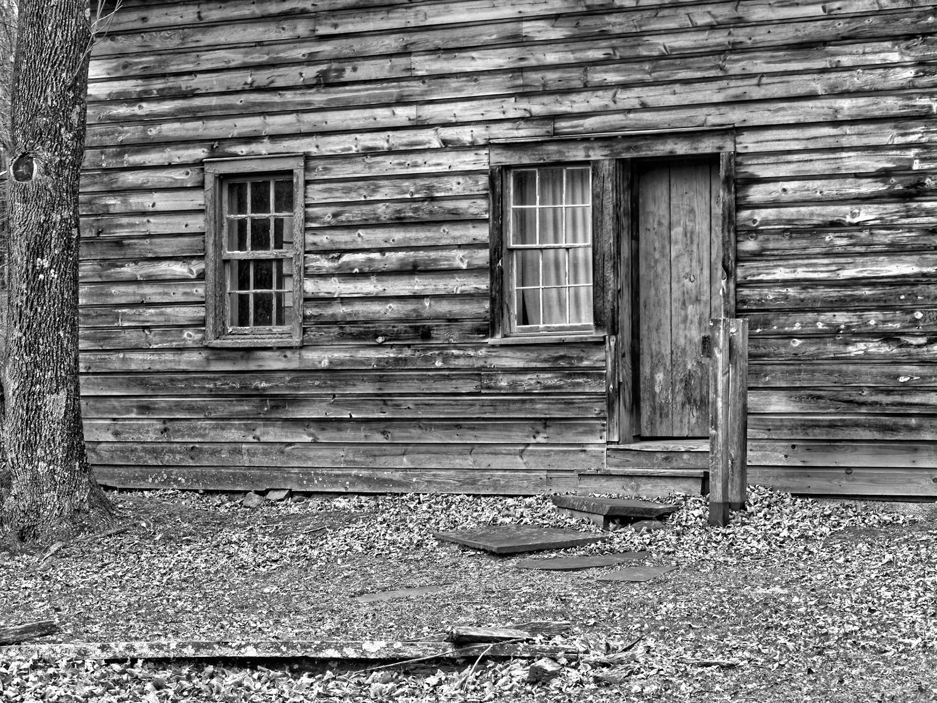 Black & White 00018