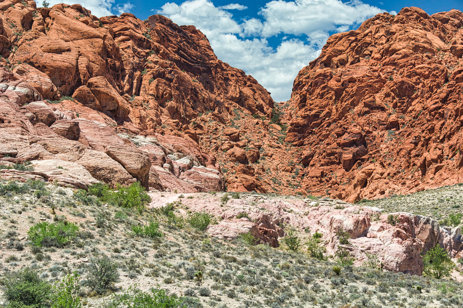 Desert Southwest